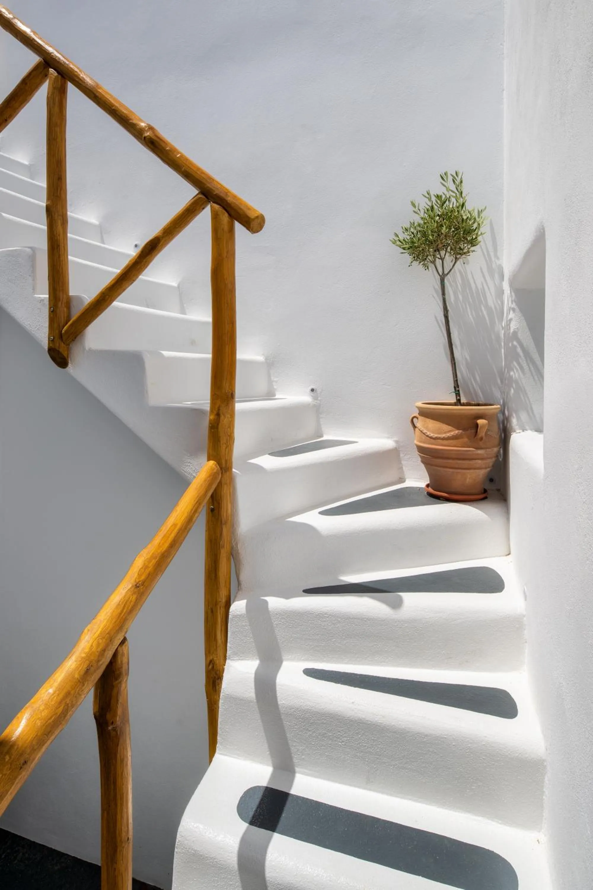 Property building in I K I A Since 1980 by Calm Collection