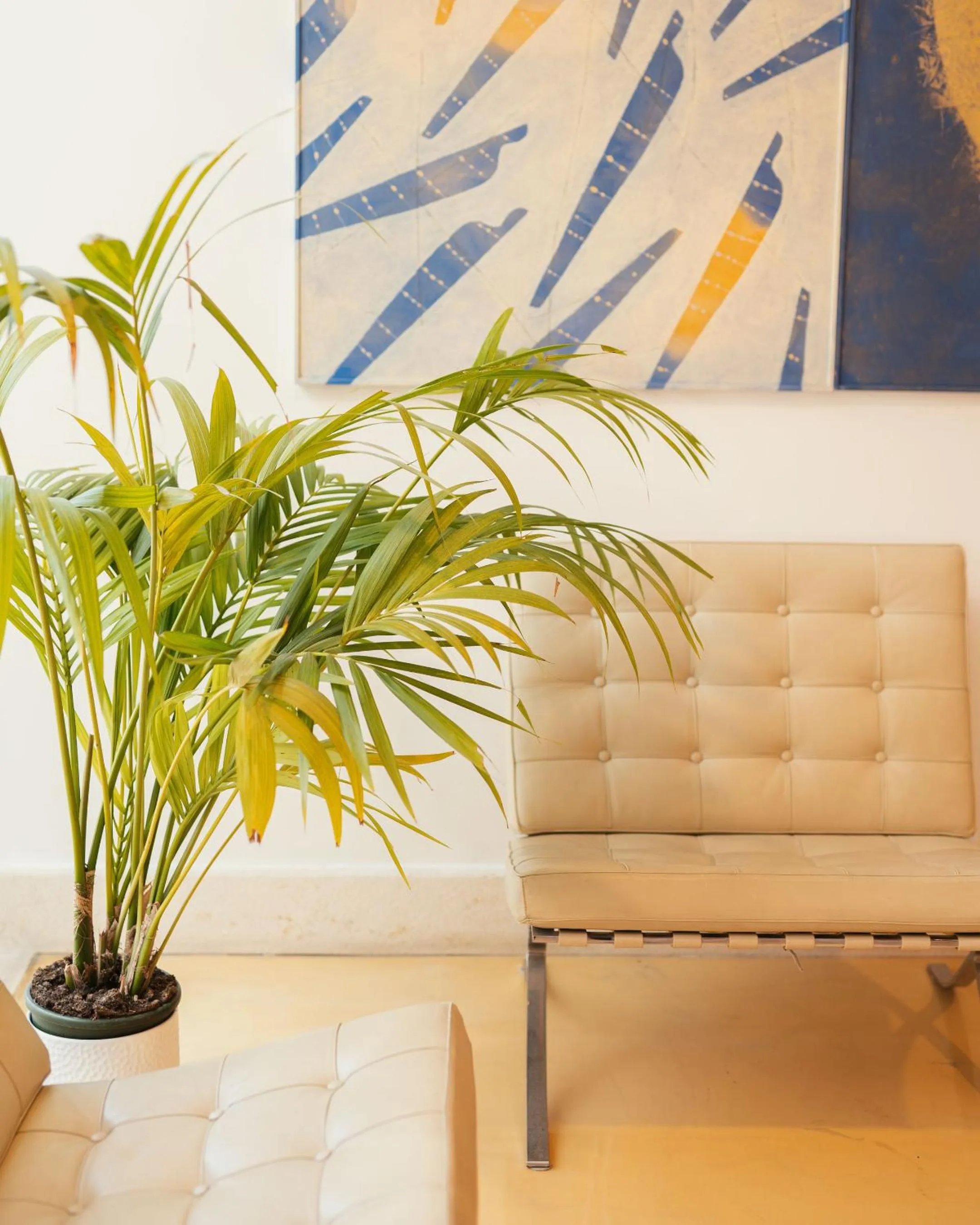 Lobby or reception in Hotel Grotta Di Tiberio