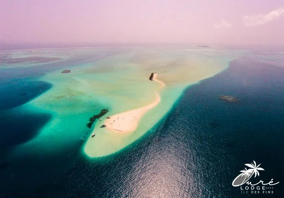 Natural landscape in Oure Lodge Beach Resort