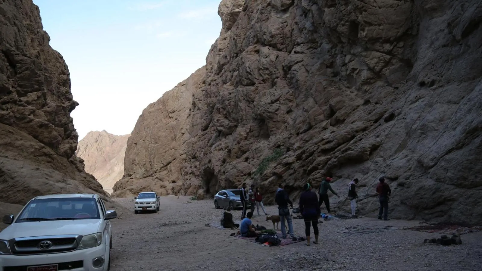 Activities in The Bedouin Moon