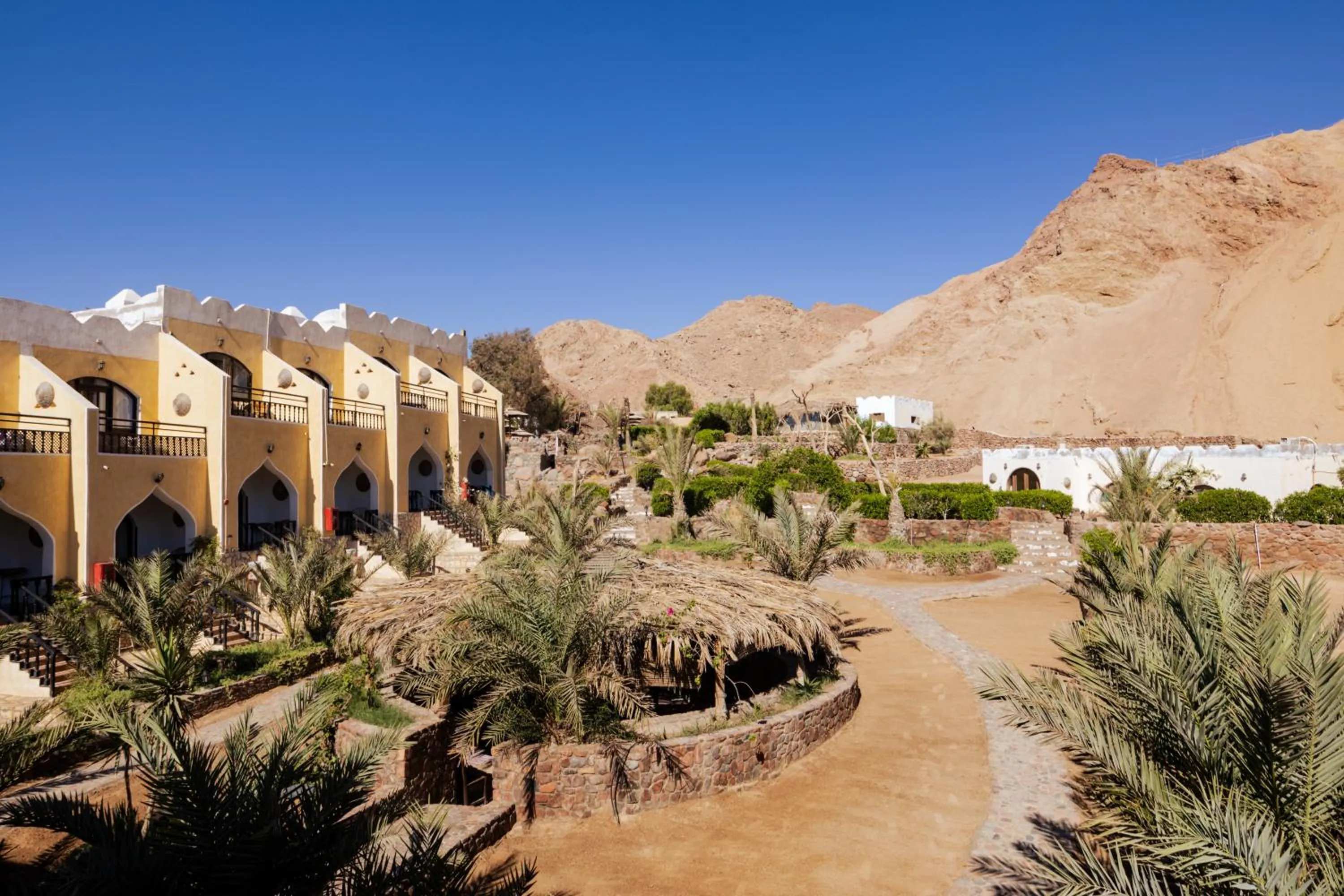 Garden in The Bedouin Moon