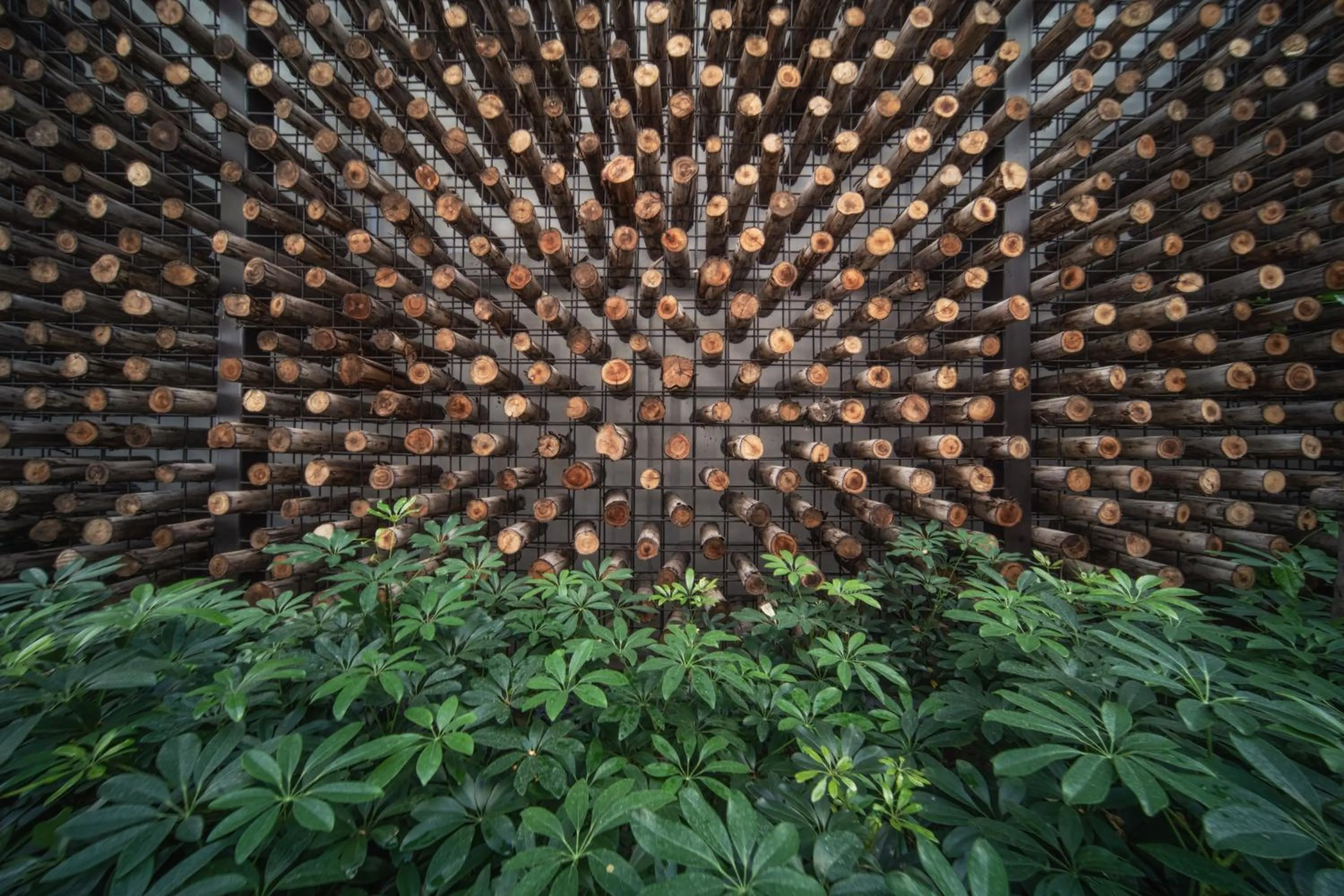 Natural landscape in Burirattana Hotel-An Adults Only Hotel