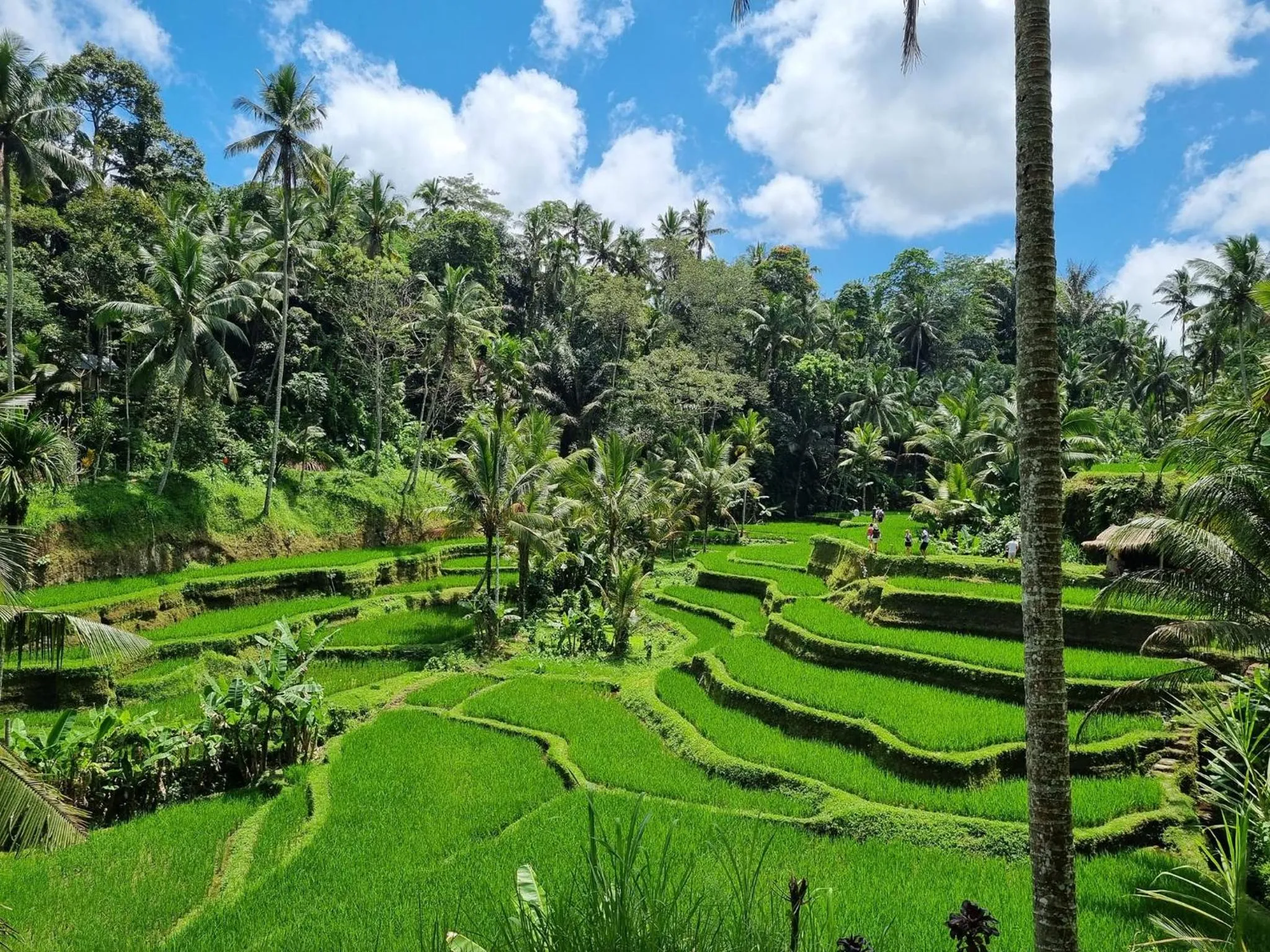 Other in Gongwi Cottages Sidemen