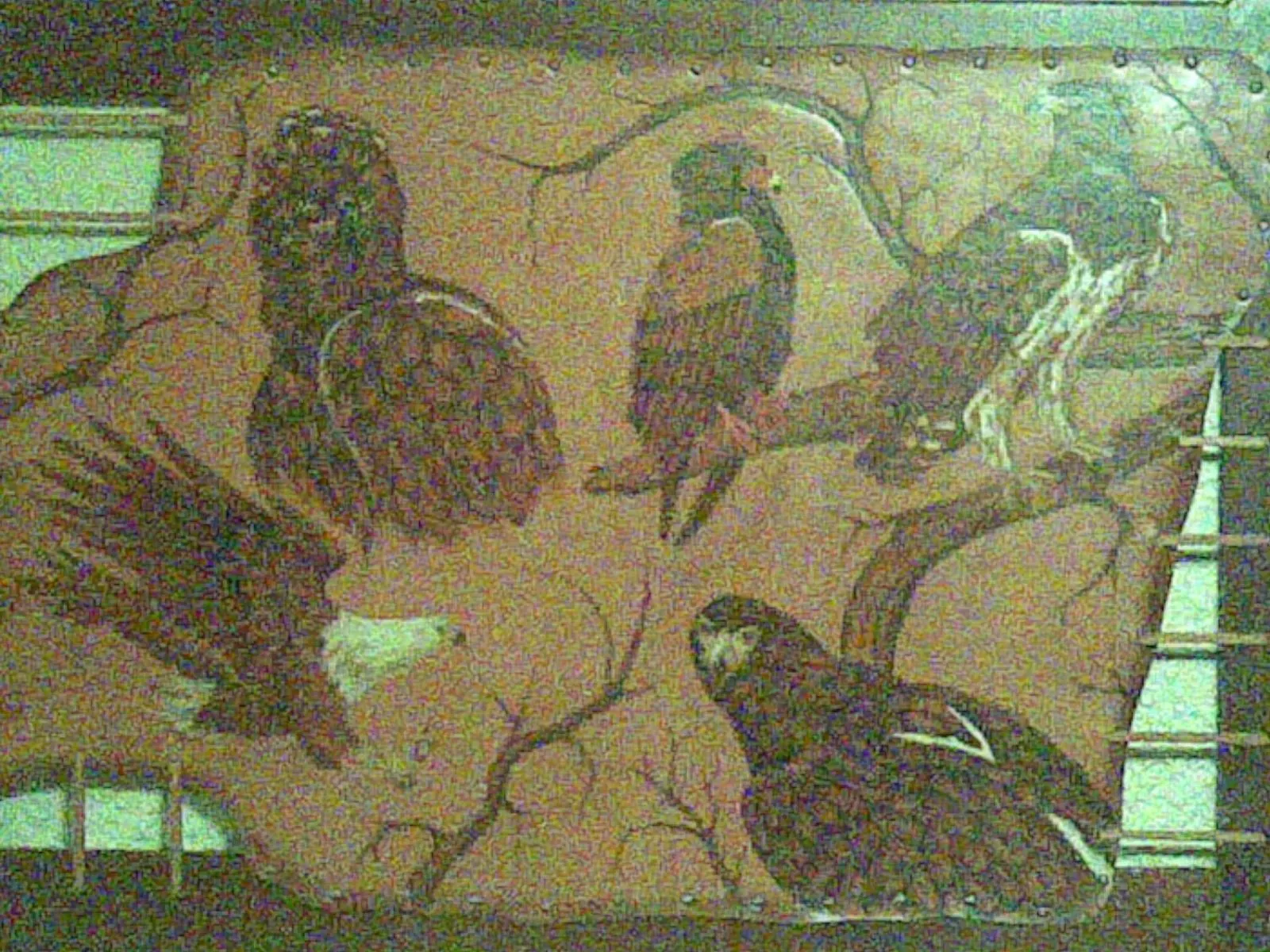 Animals in Kgatholoha Guest House