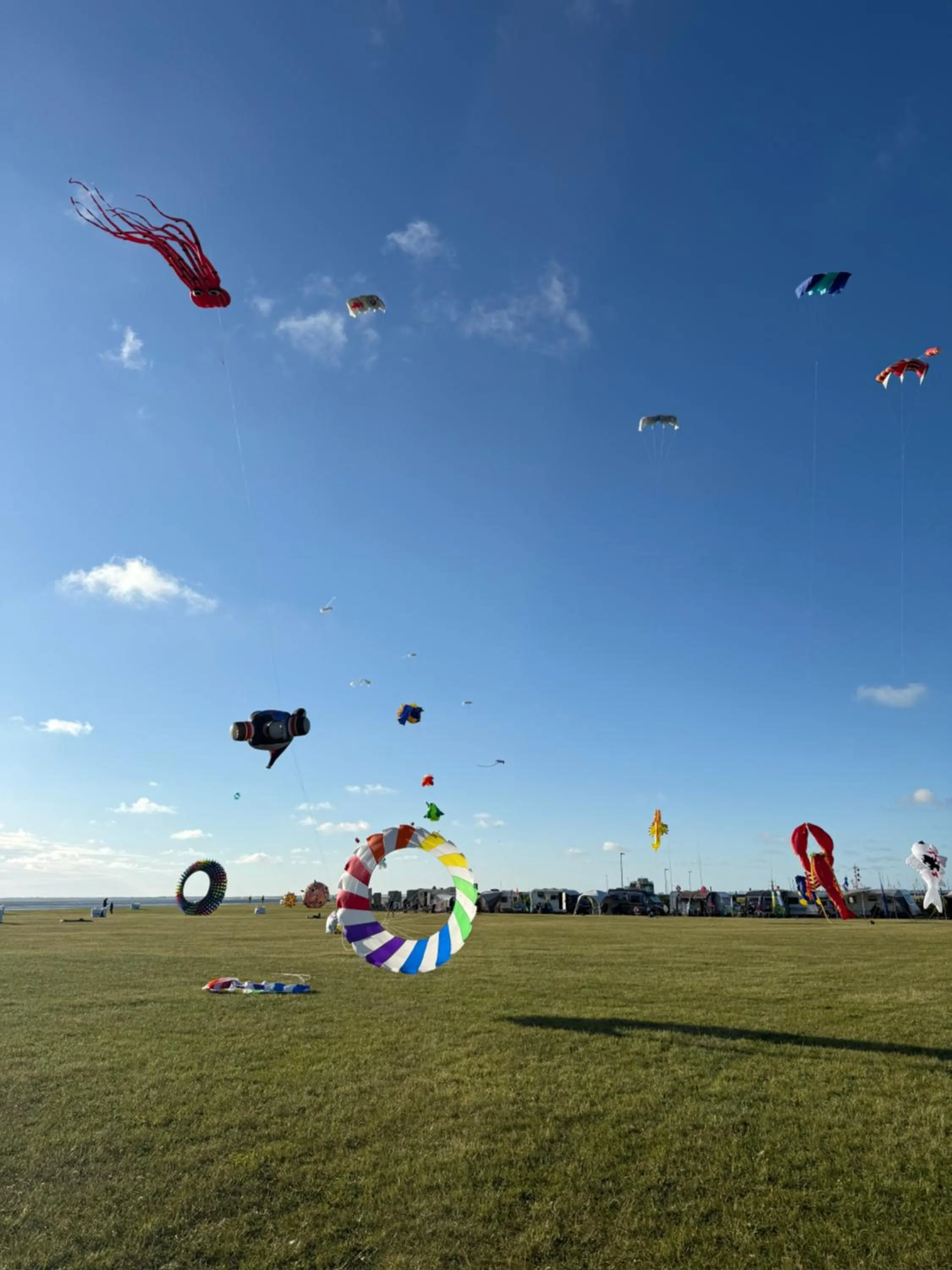 Beach in Hotel Ocean