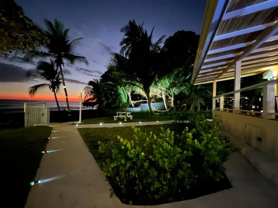 Garden in The Backyard Beach House