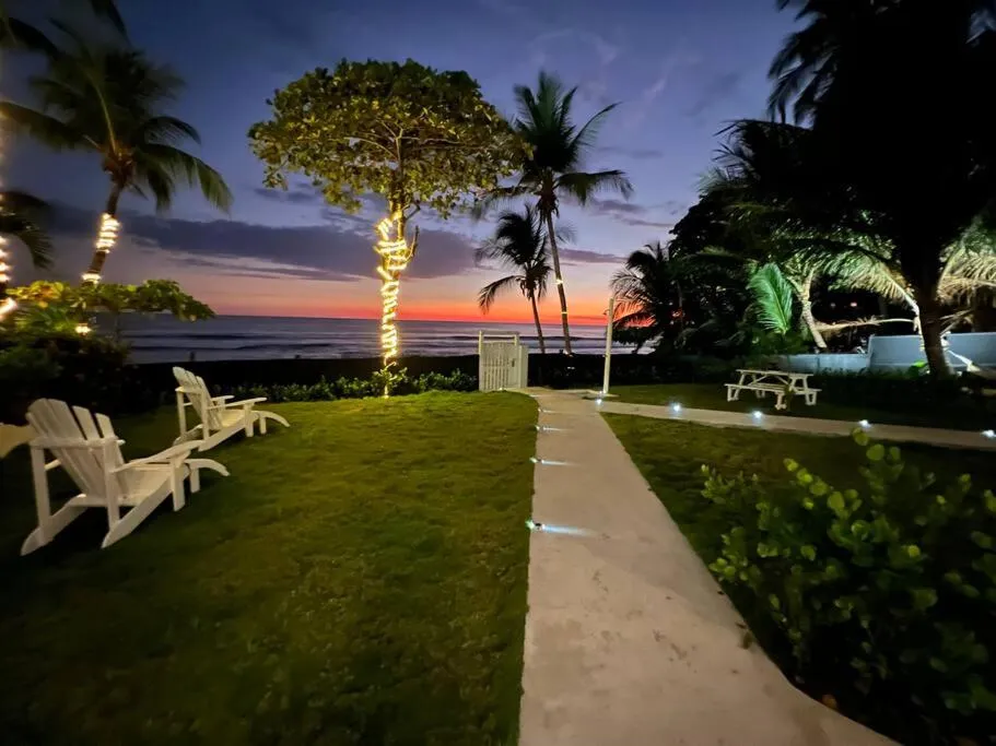 Garden in The Backyard Beach House