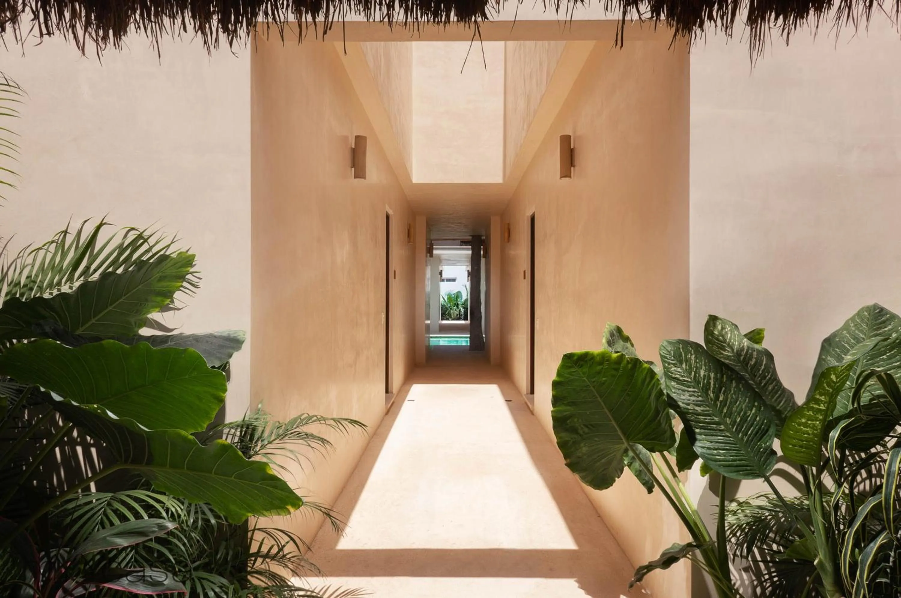 Property building in Casa Yaakun