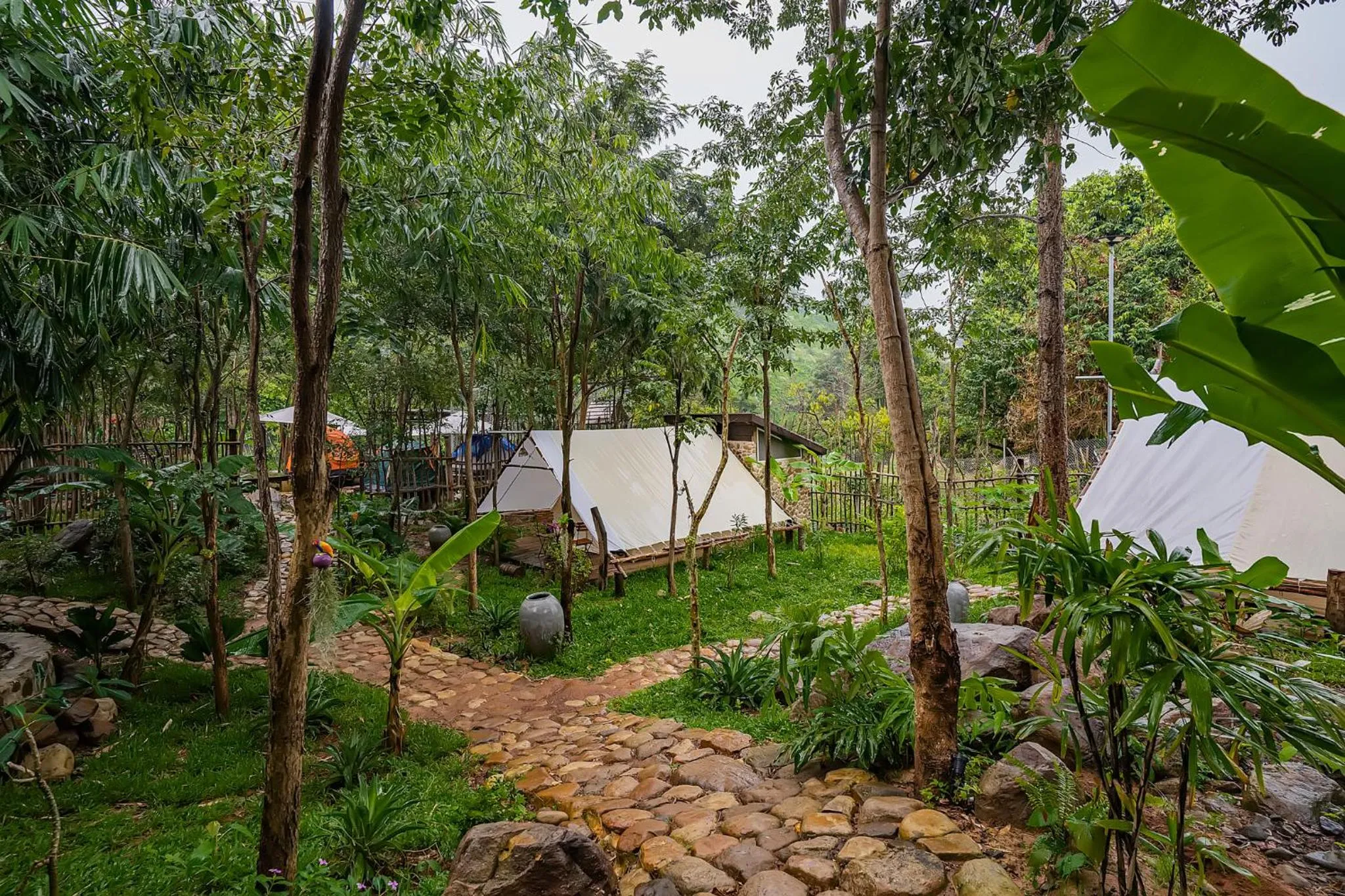 Day in Green Valley Veal Pouch