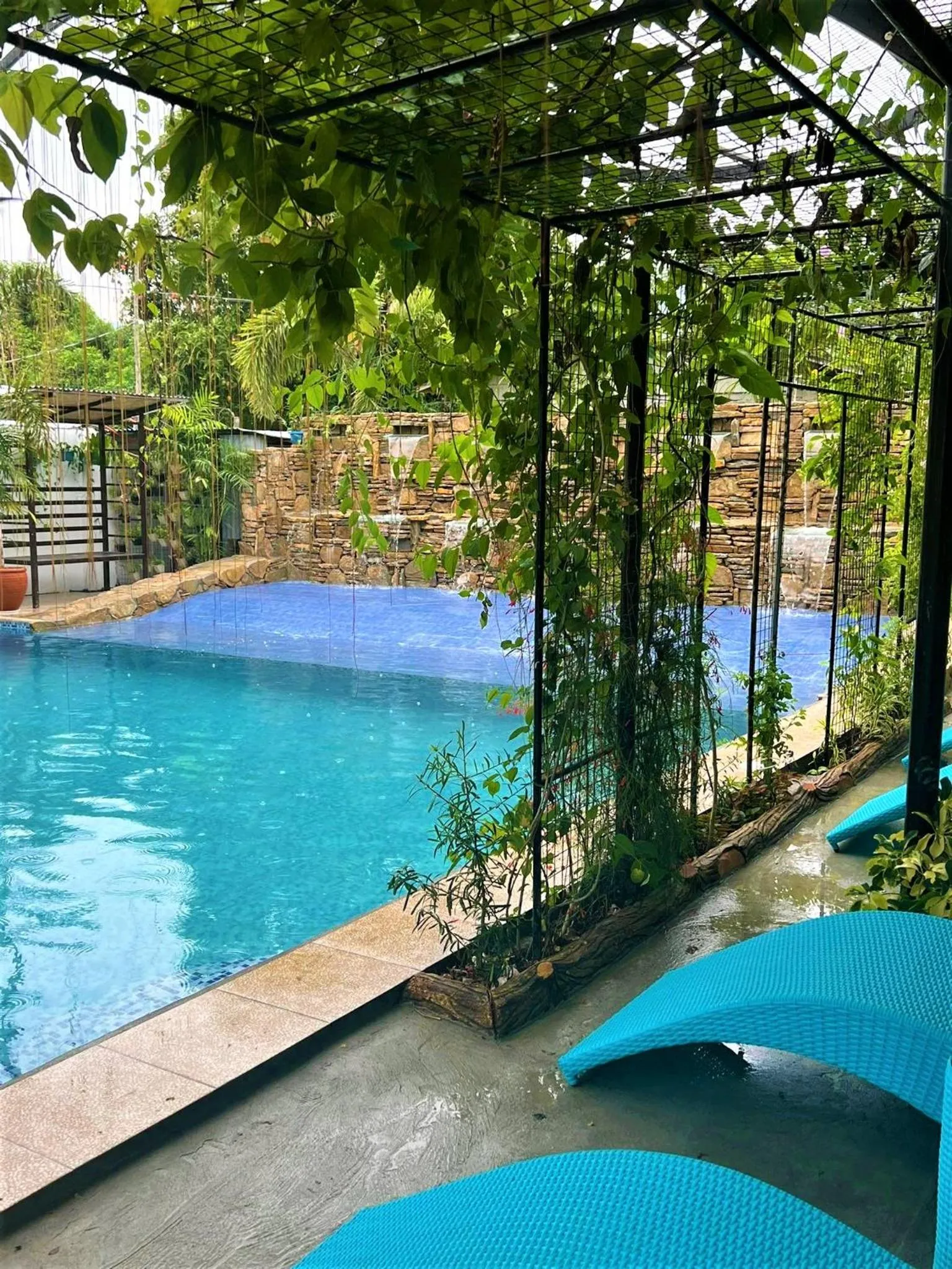 Pool view in Casa Cecilia Hotel