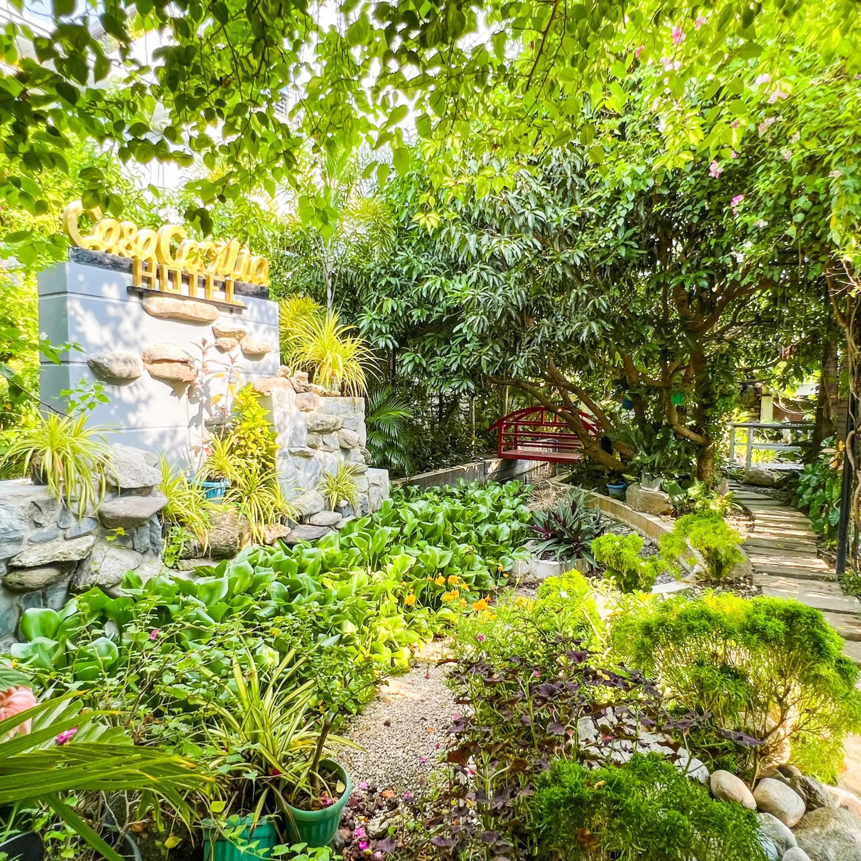 Natural landscape in Casa Cecilia Hotel