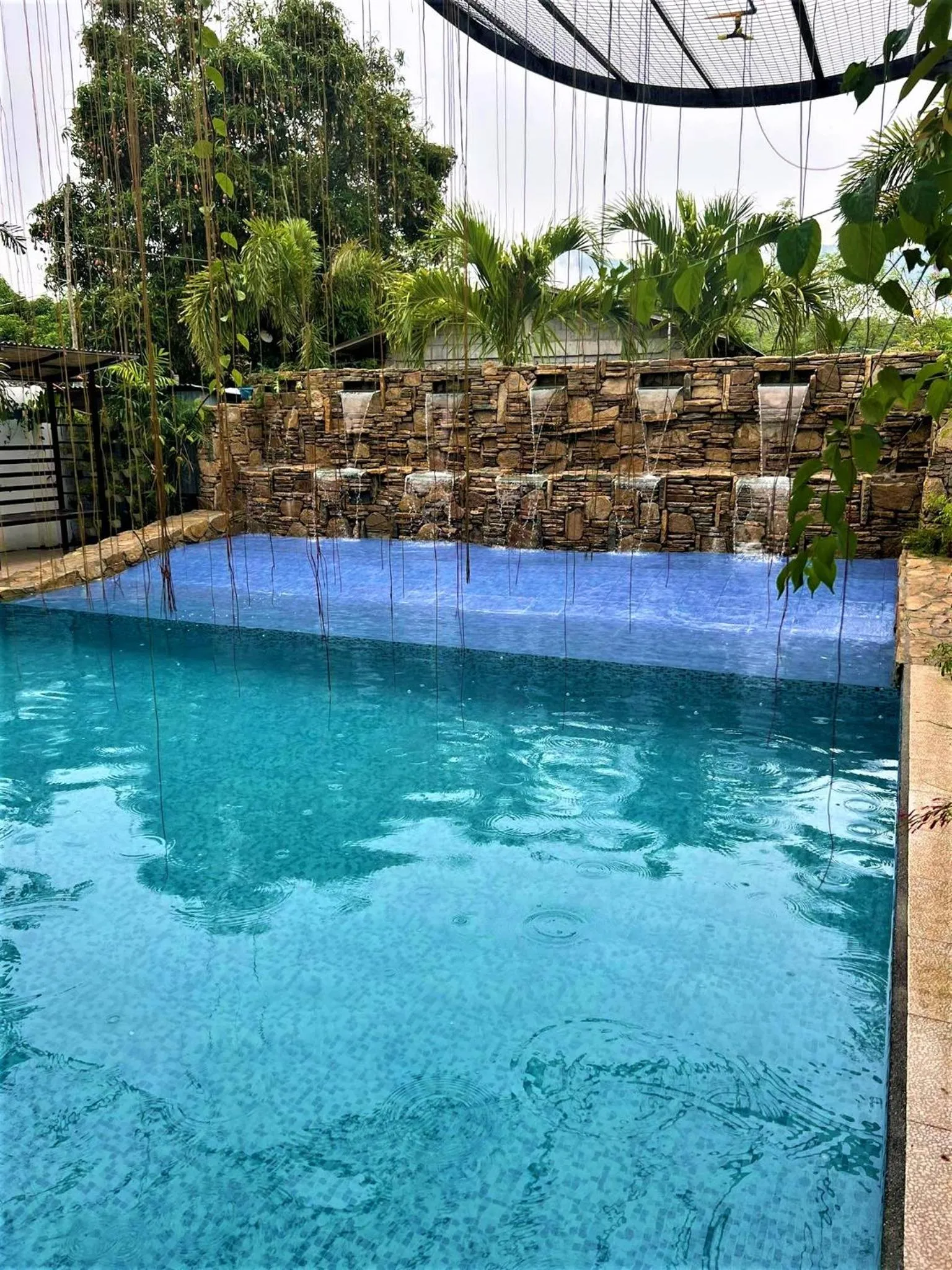 Garden in Casa Cecilia Hotel