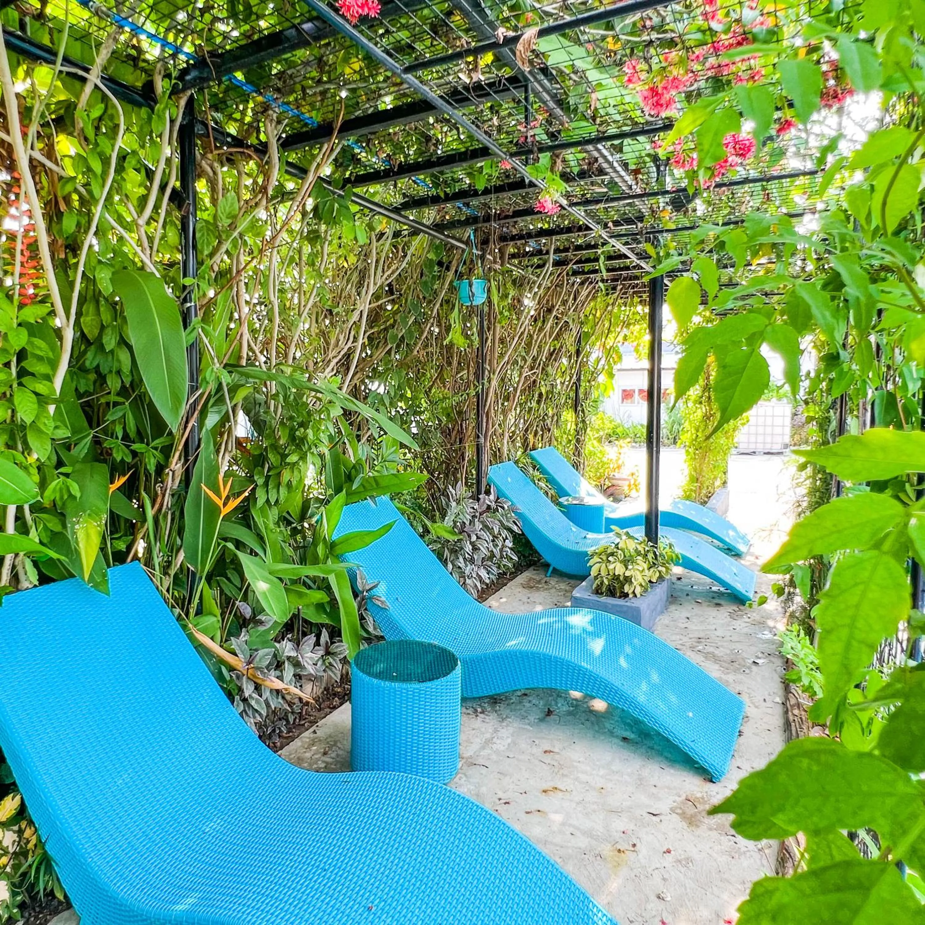 Swimming pool in Casa Cecilia Hotel