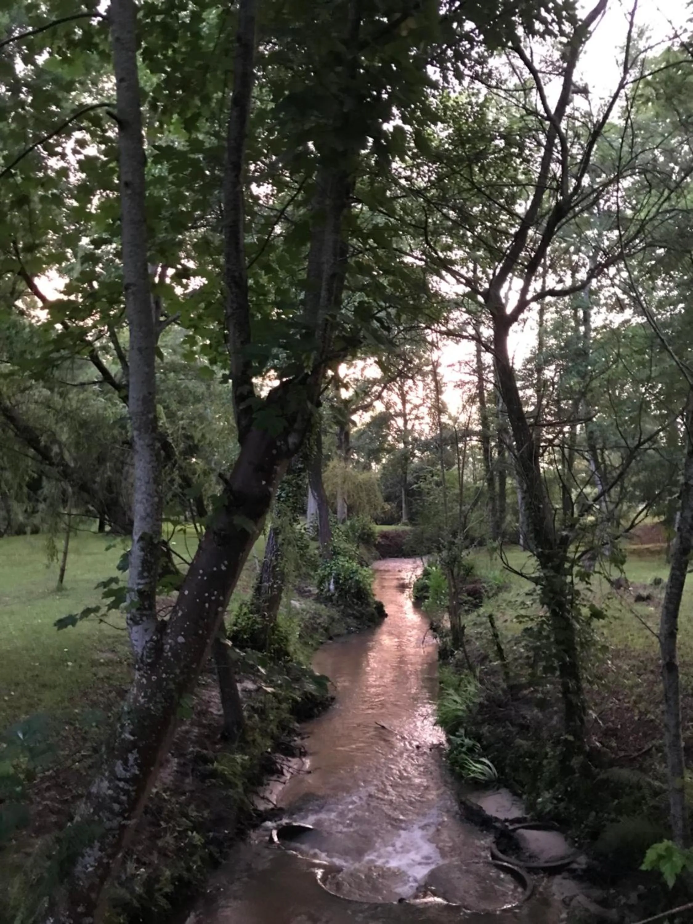 Natural landscape in Le Mill