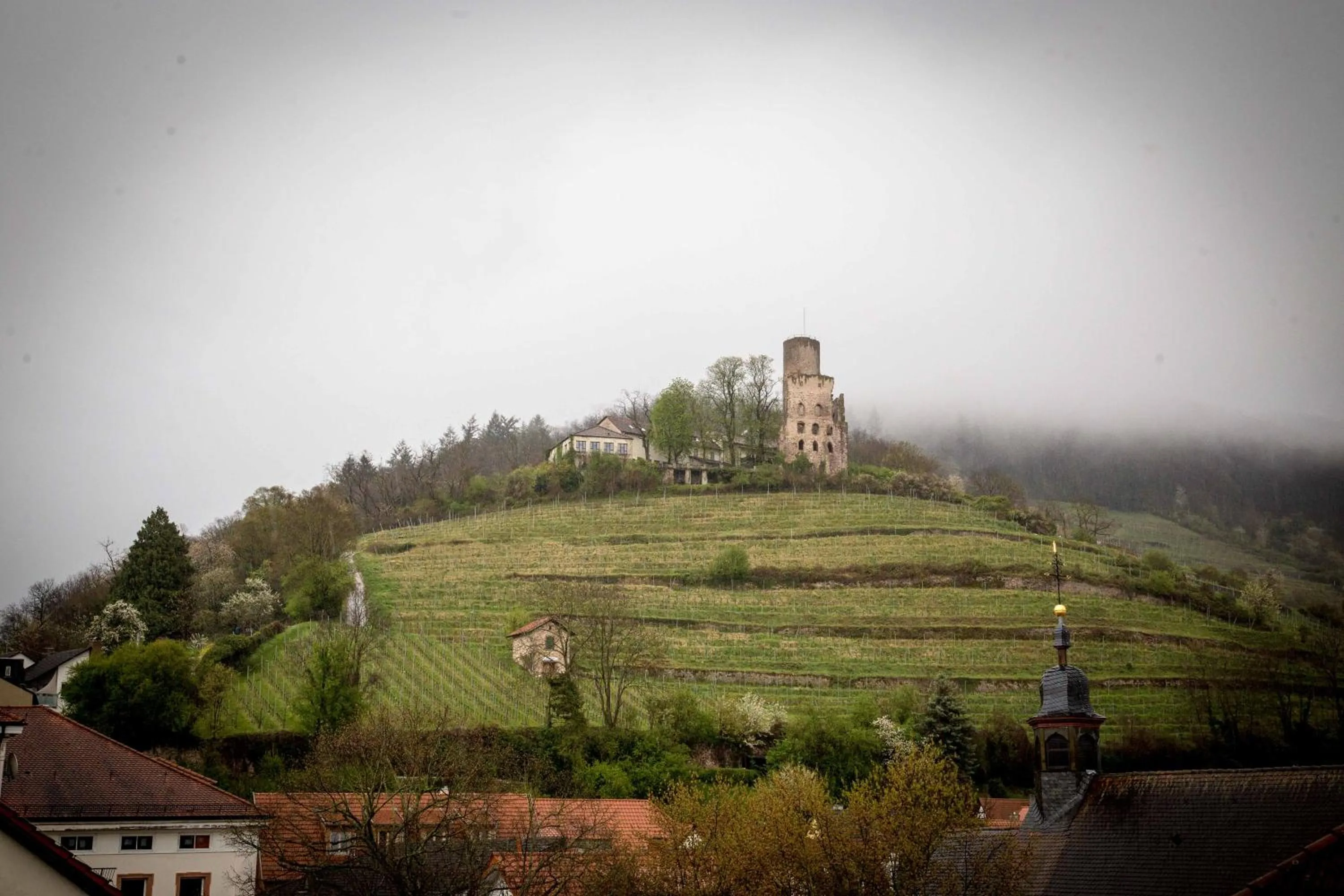 Natural landscape in Kaiser Kulturhotel
