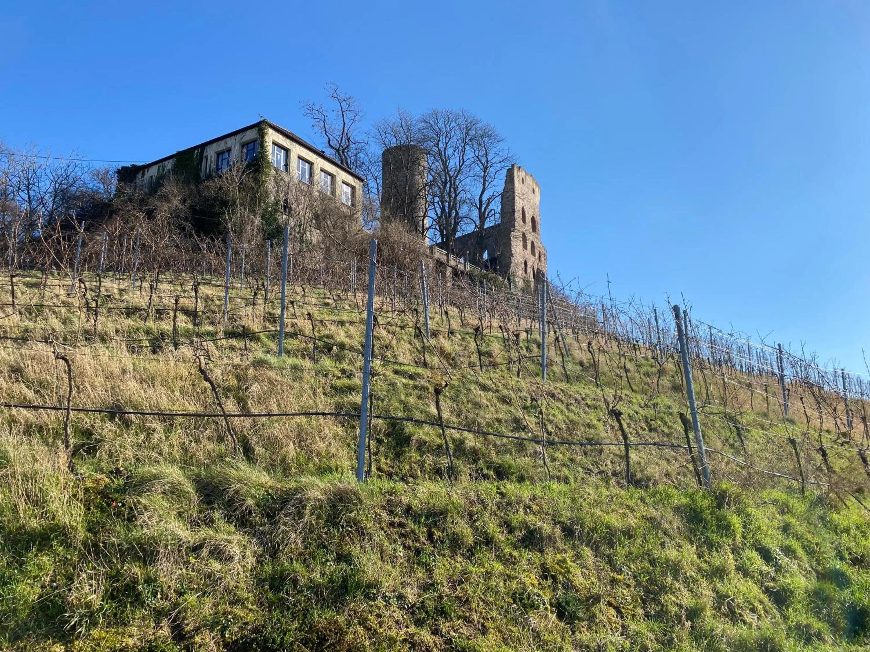 Nearby landmark in Kaiser Kulturhotel