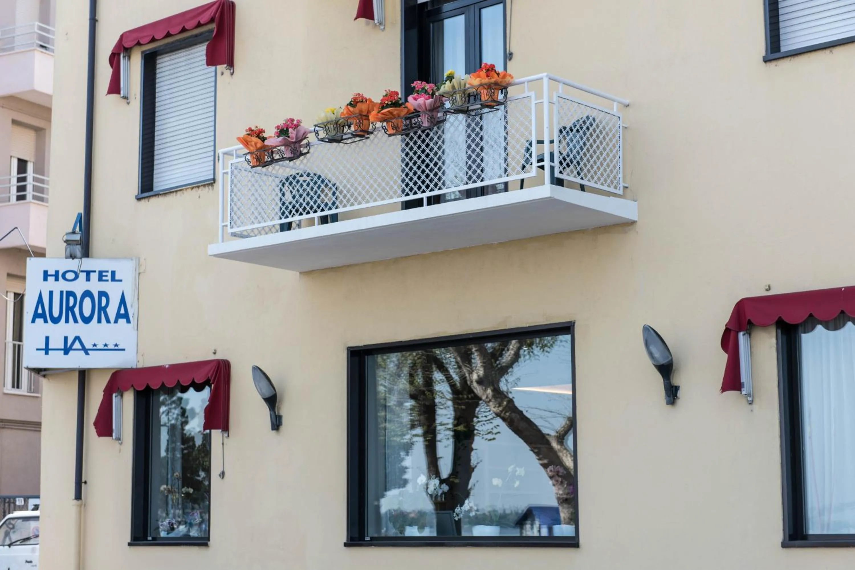 Balcony/Terrace in Hotel Aurora
