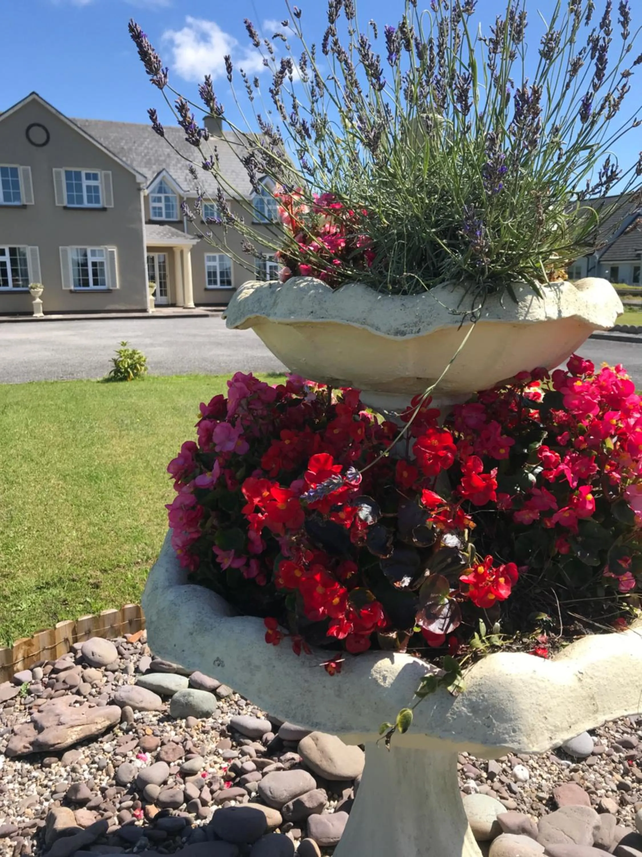 Kielty's of Kerry Bed and Breakfast