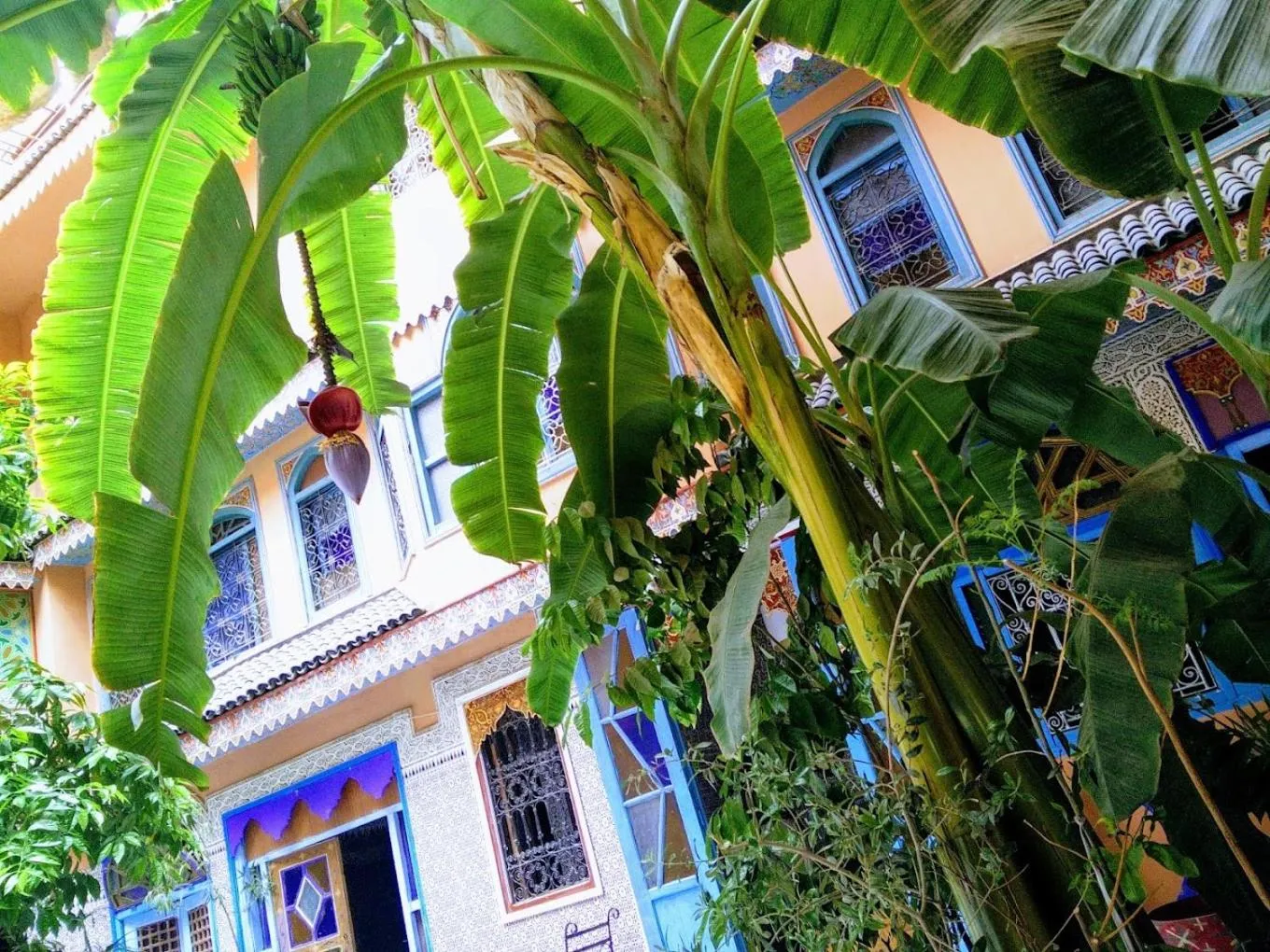 Property building in Riad Carole - Perfect for Families & Groups