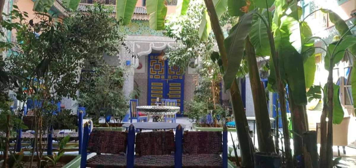 Garden view in Riad Carole - Perfect for Families & Groups