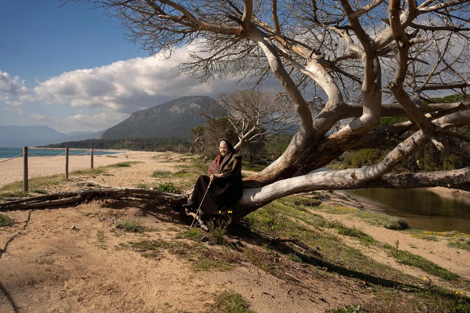 Natural landscape in Hotel Su Barchile