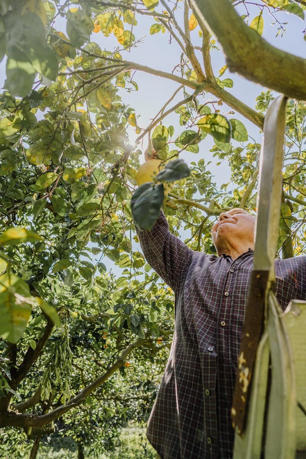 Staff in Hotel Su Barchile