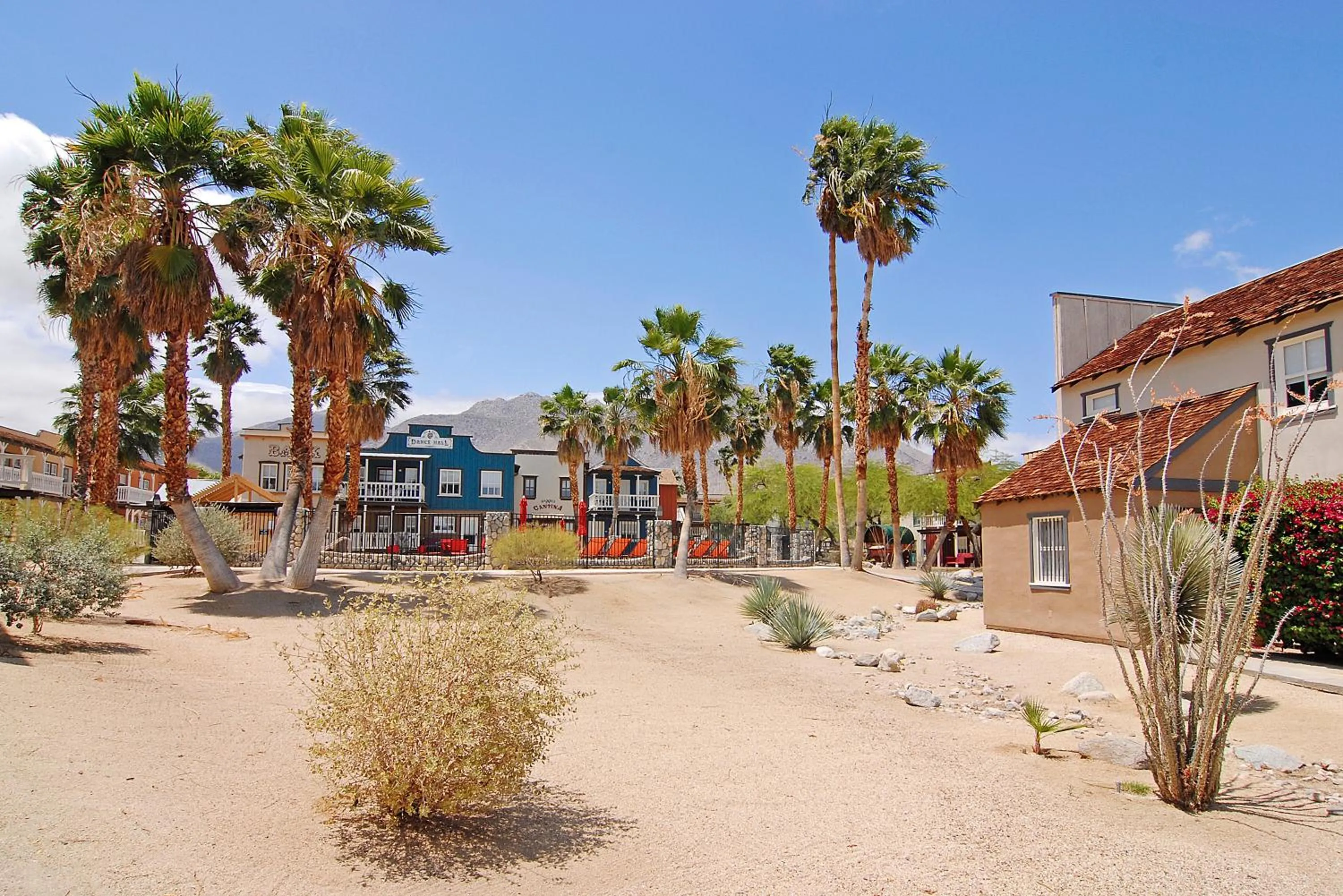 Natural landscape in Palm Canyon Hotel and RV Resort