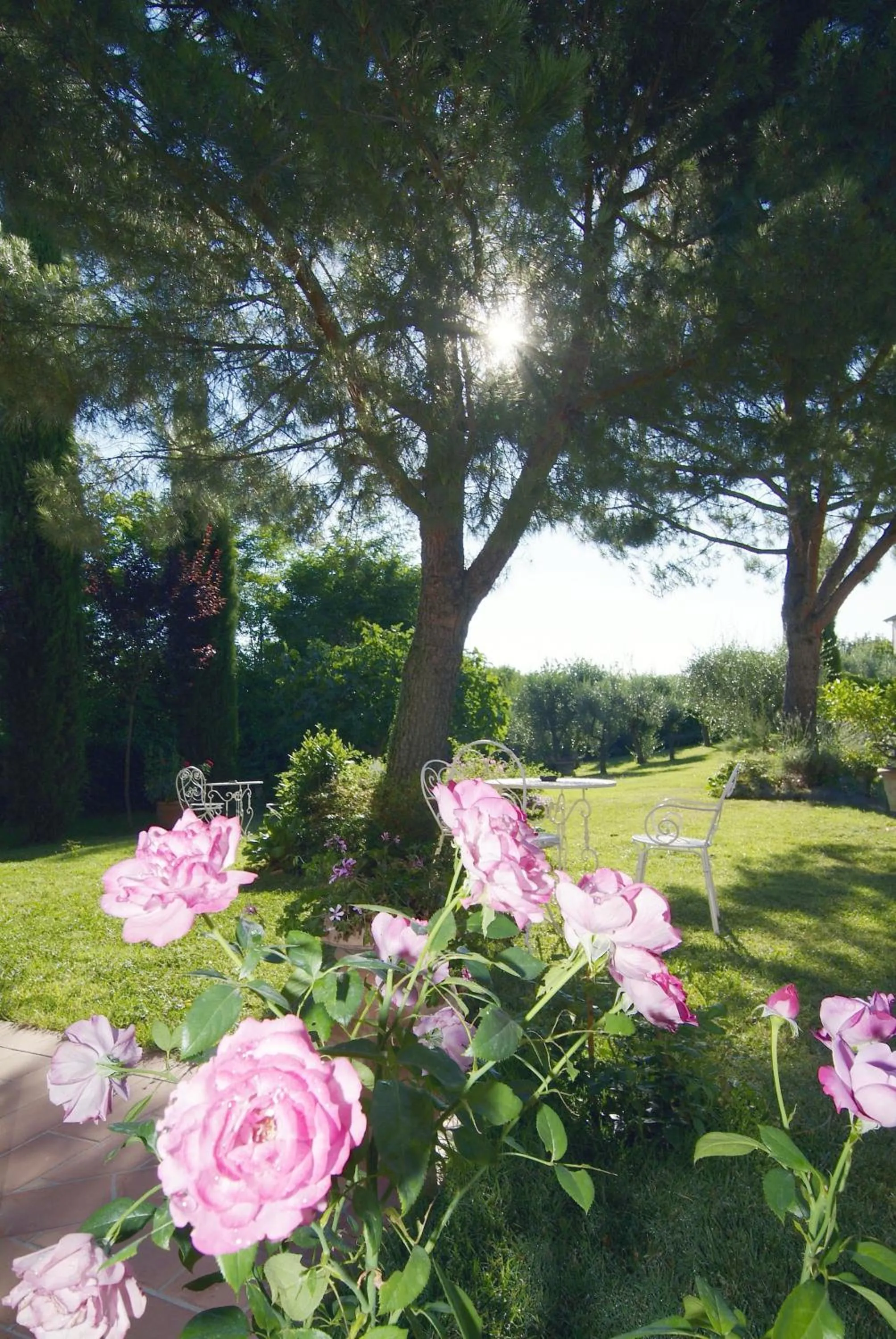 Garden in Il Rondò Boutique Hotel
