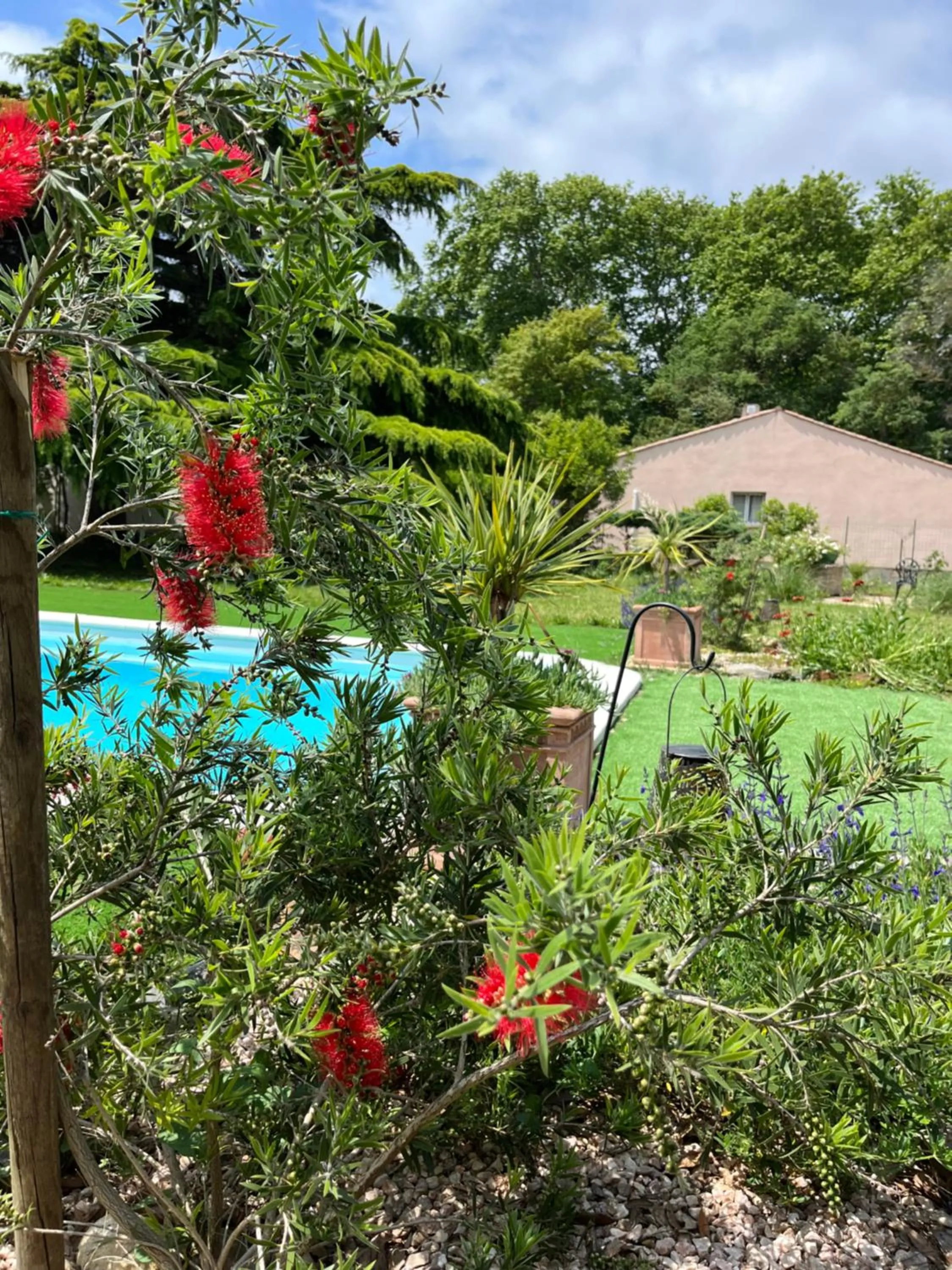 Suite à la Villa Cattus