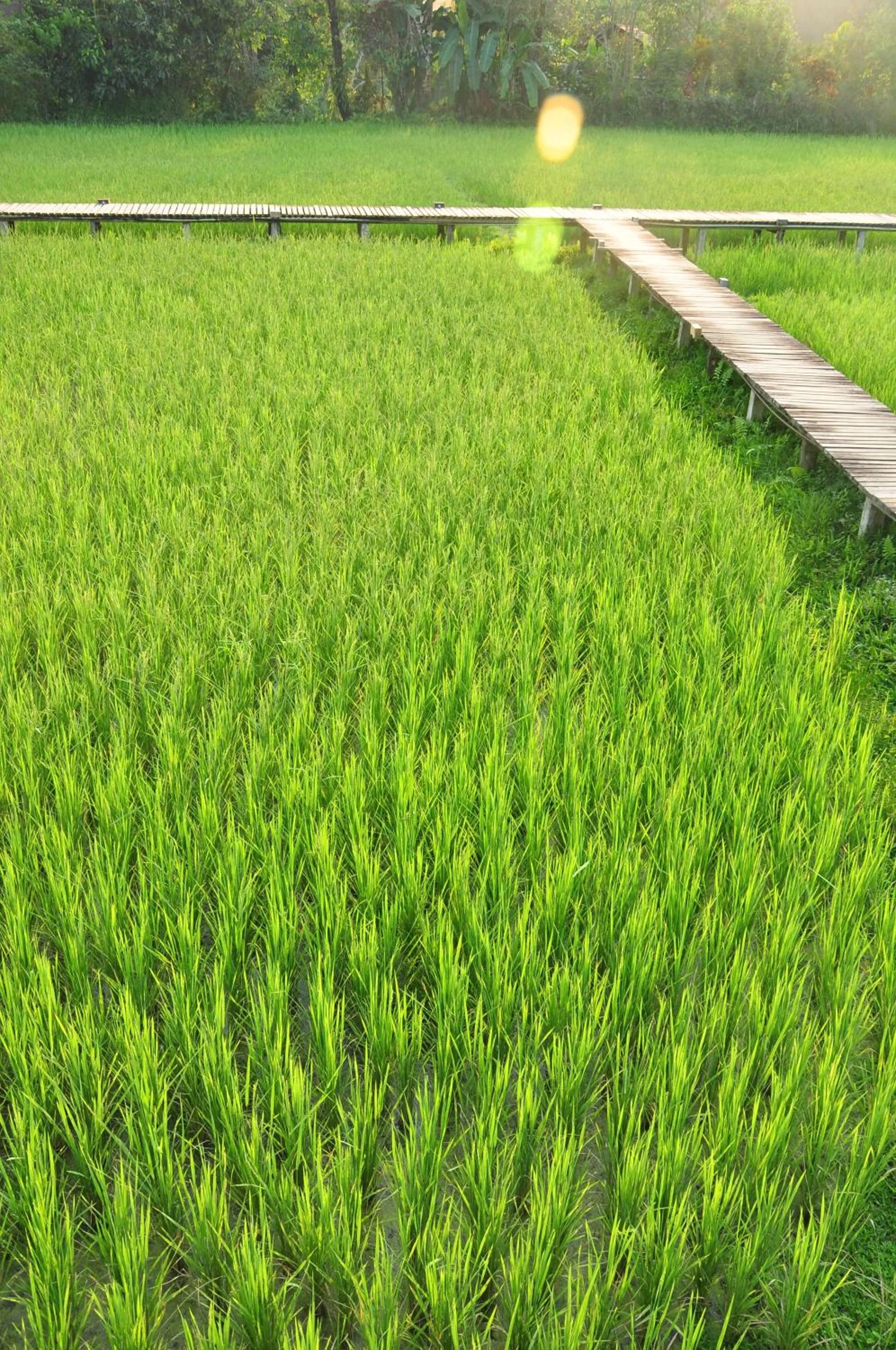 Natural landscape in ViengTara VangVieng Resort