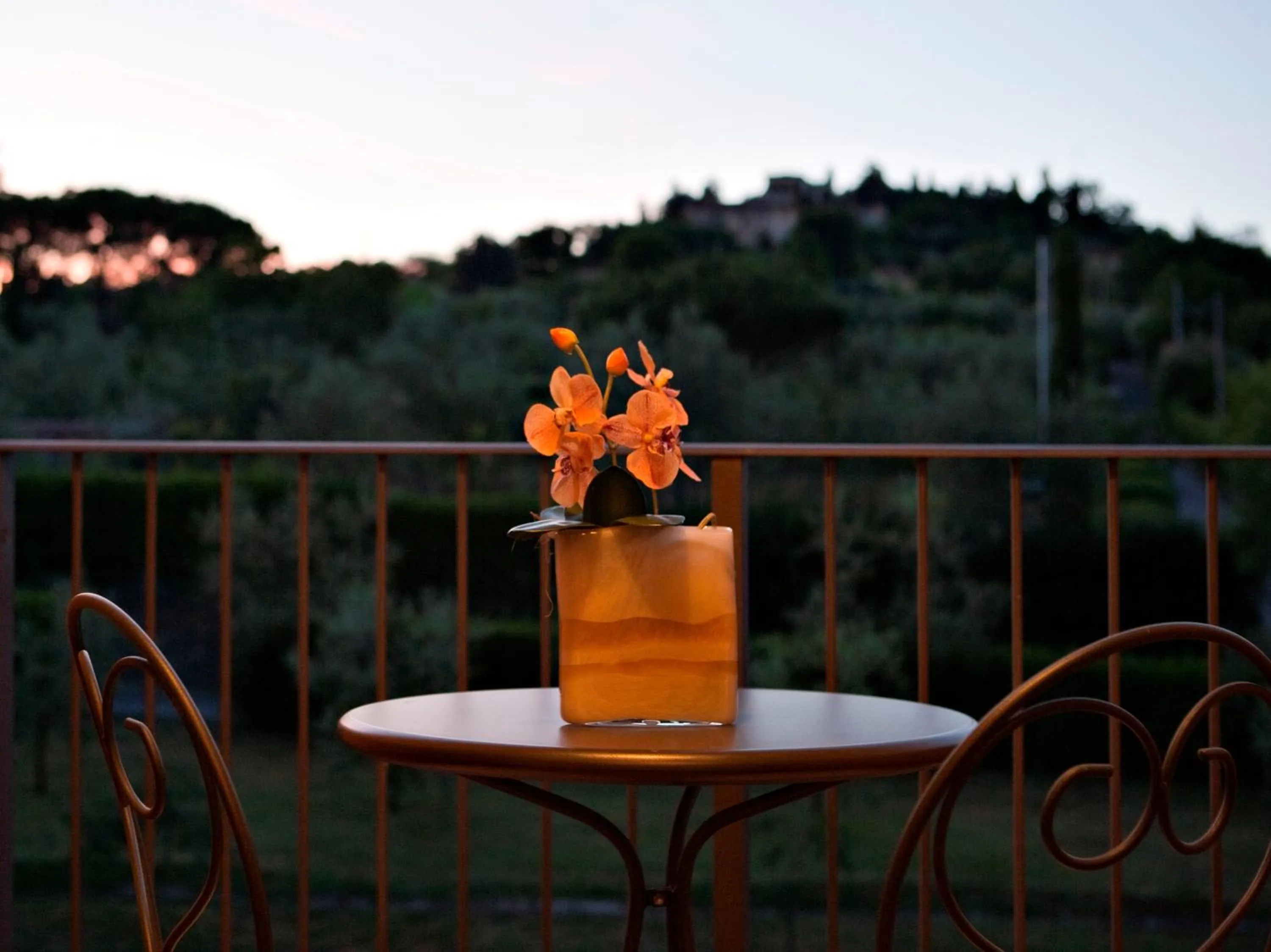 Balcony/Terrace in Hotel Villa Cappugi