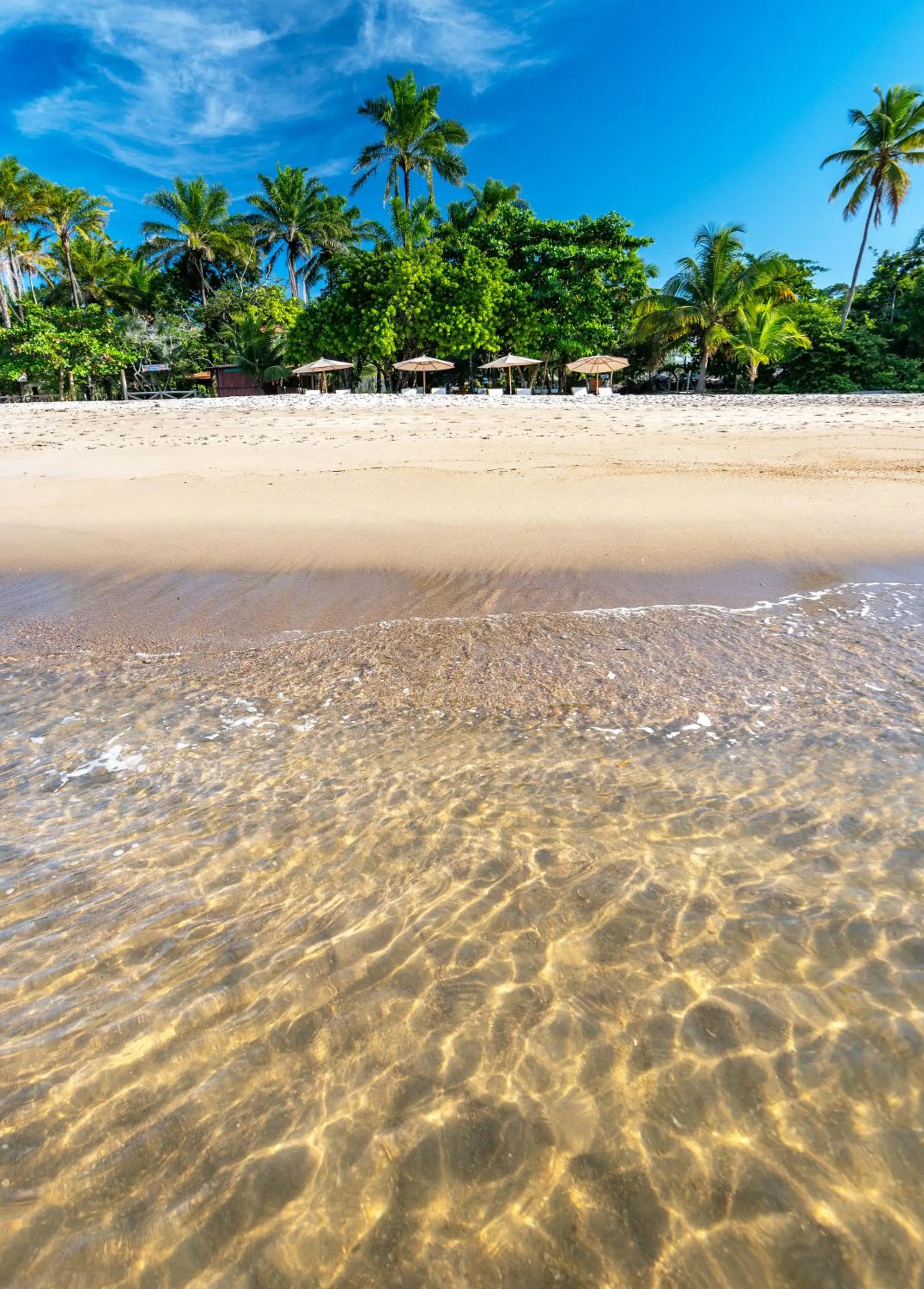 Natural landscape in Colibri Beach Villas