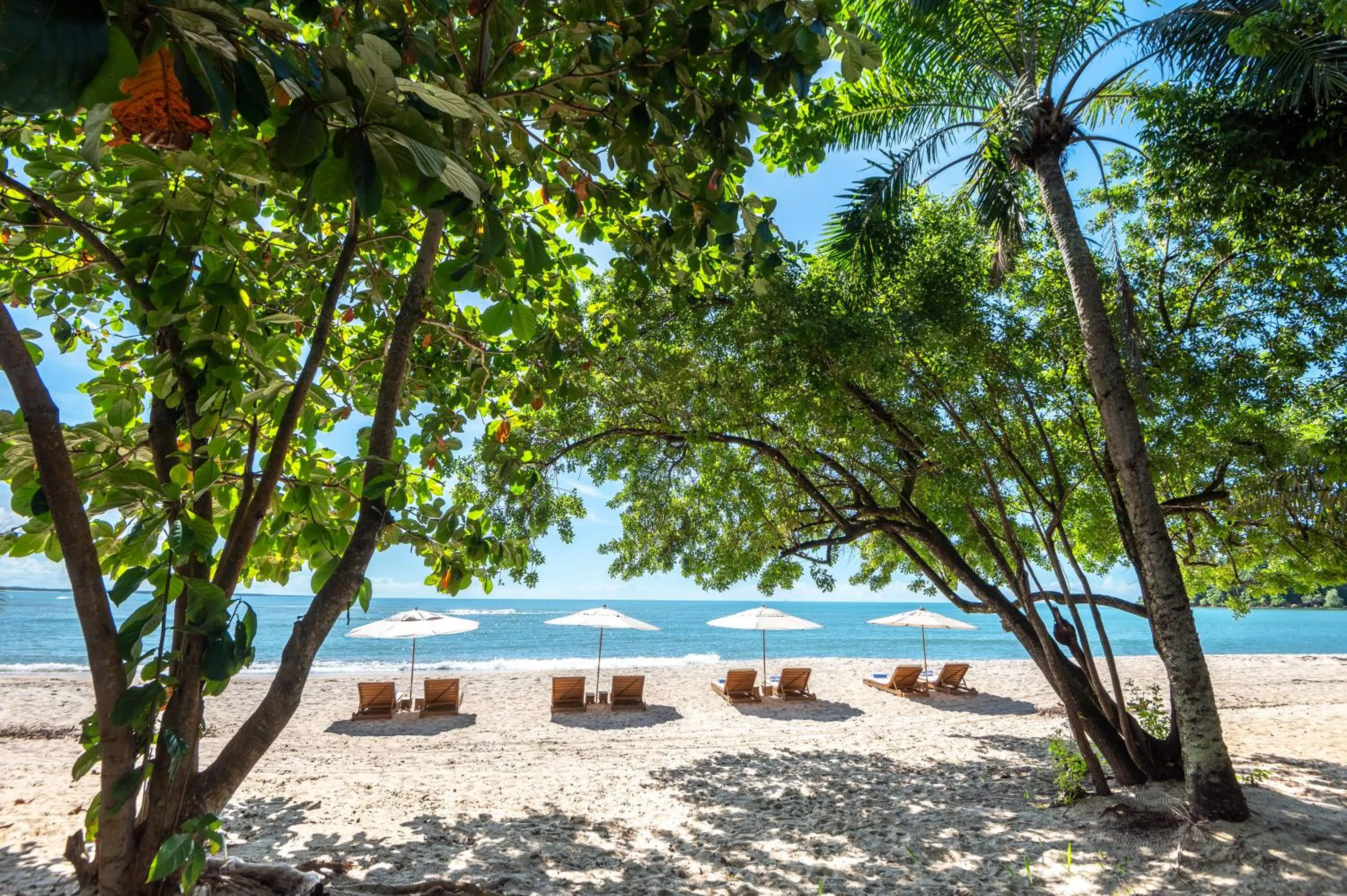 Natural landscape in Colibri Beach Villas