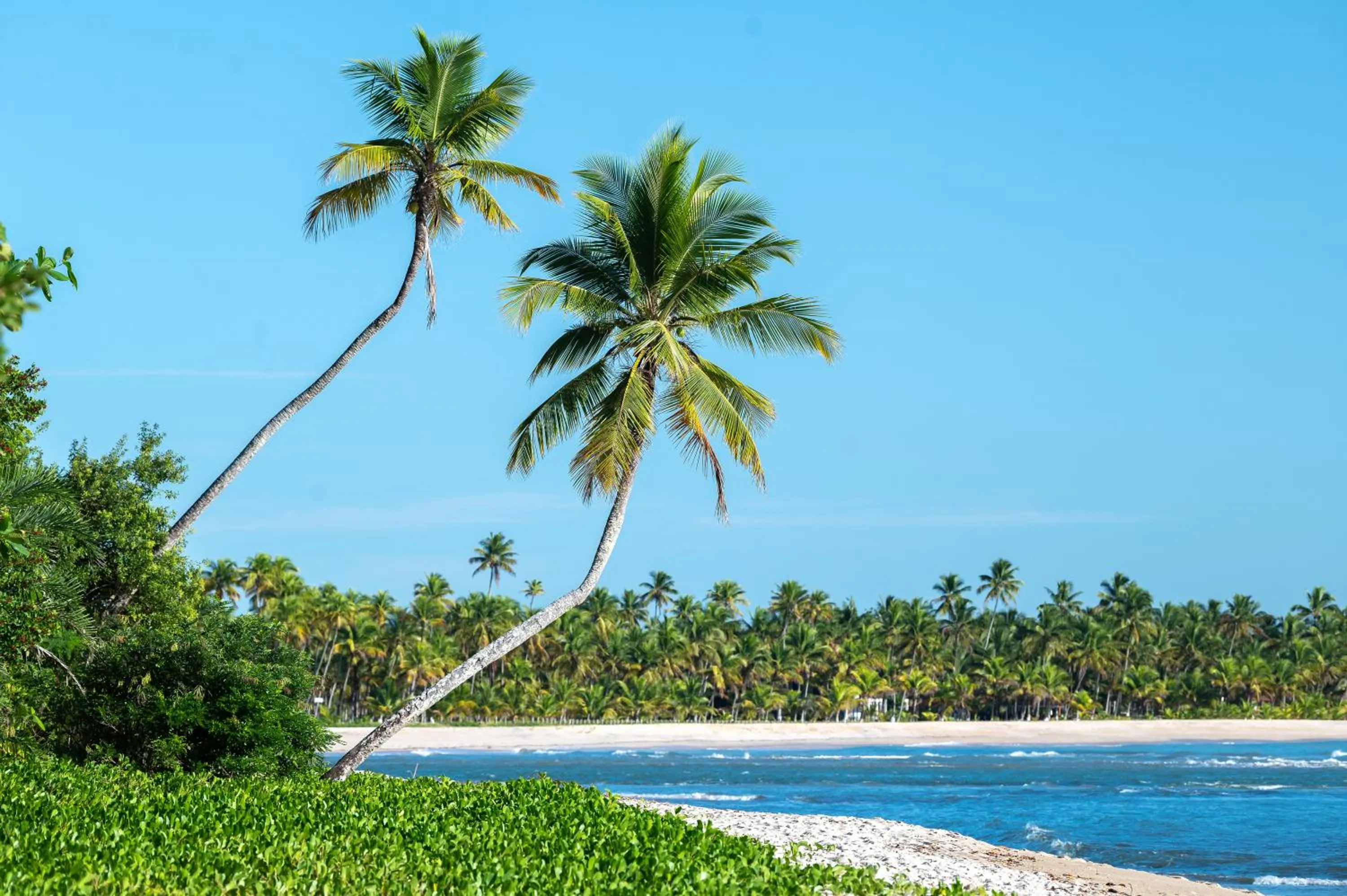 Natural landscape in Colibri Beach Villas