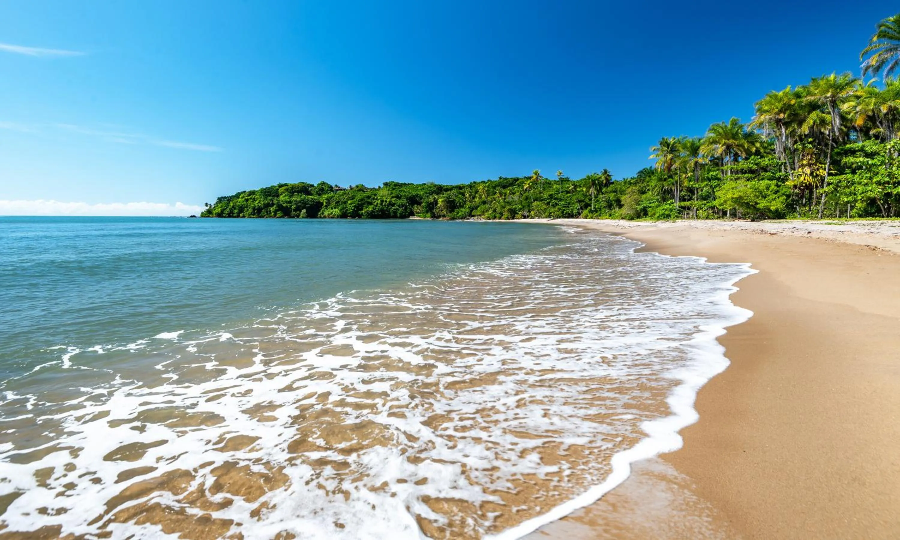 Natural landscape in Colibri Beach Villas