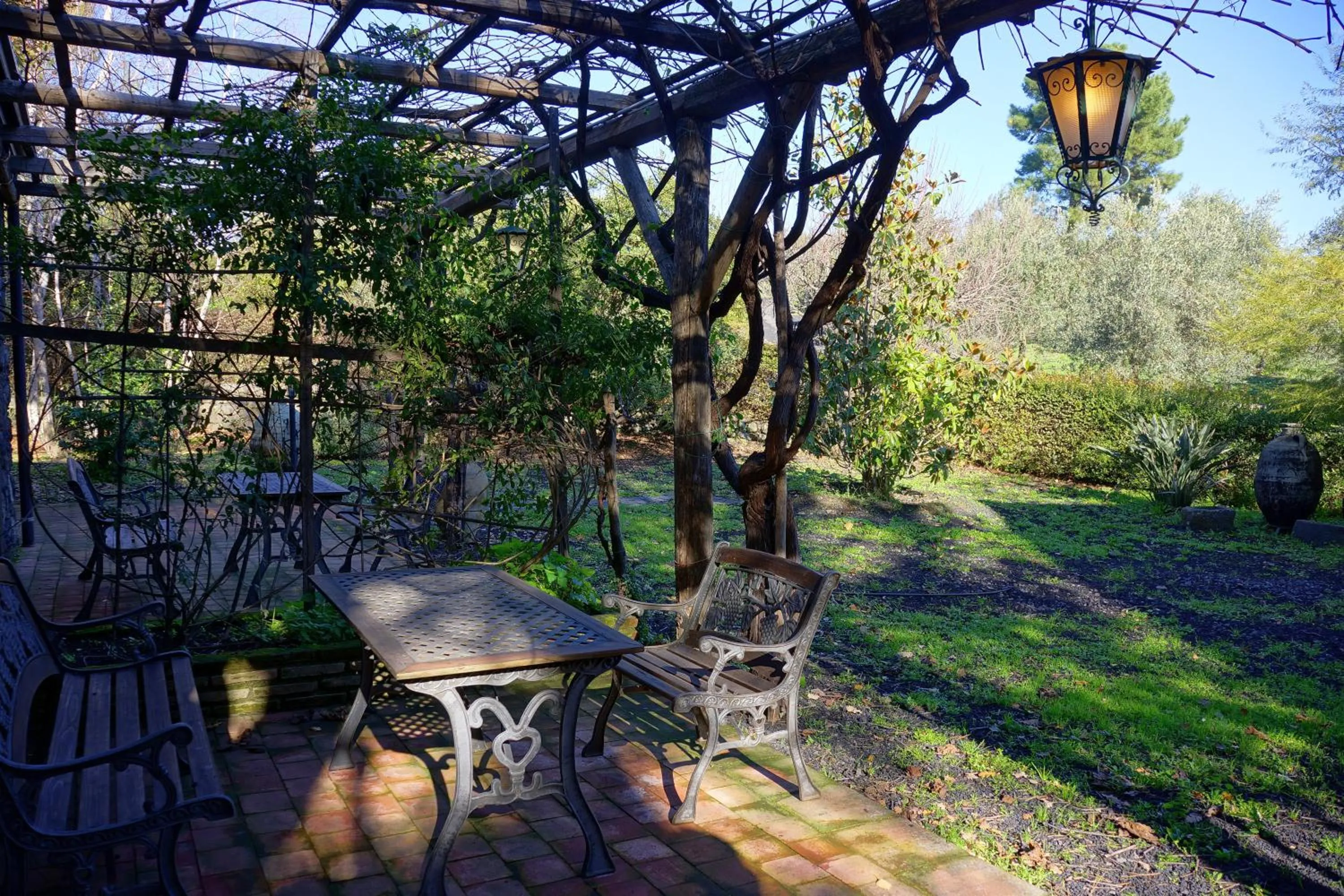 Garden in Bed and Breakfast Il Glicine