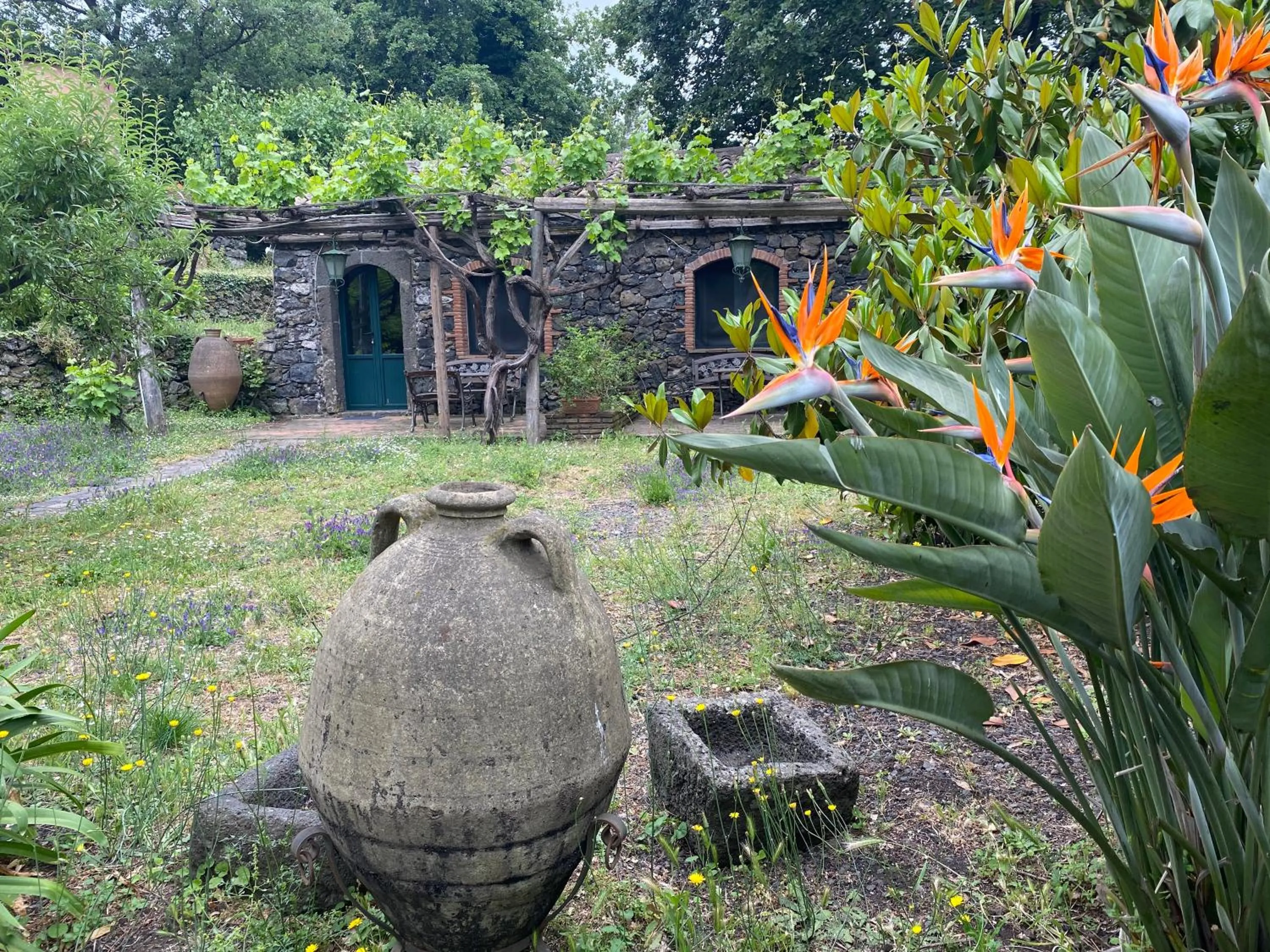 Property building in Bed and Breakfast Il Glicine