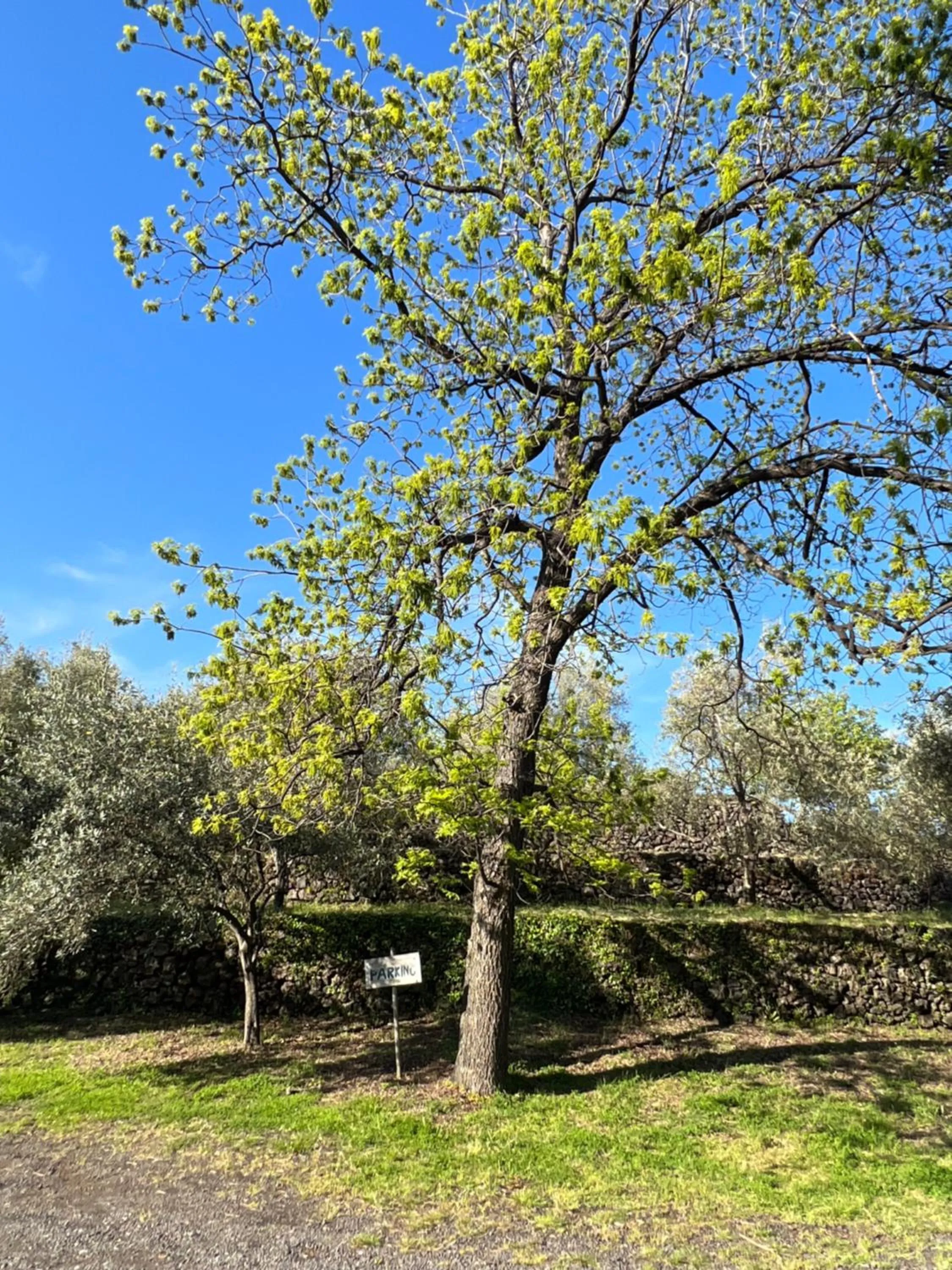 Parking in Bed and Breakfast Il Glicine