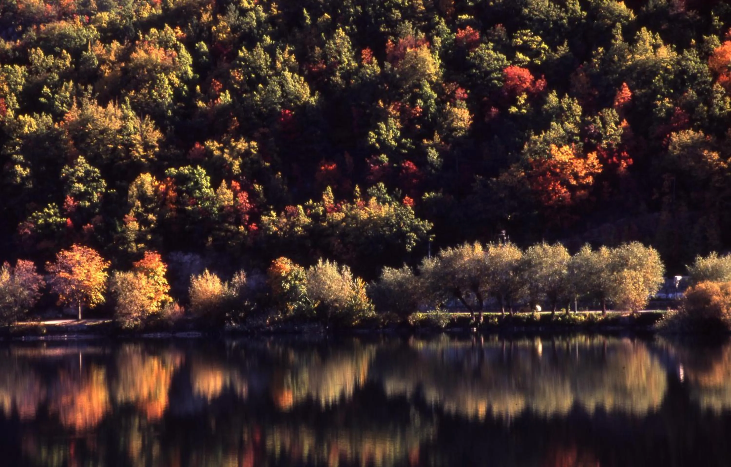 Day in Bed & Breakfast Al Ponte