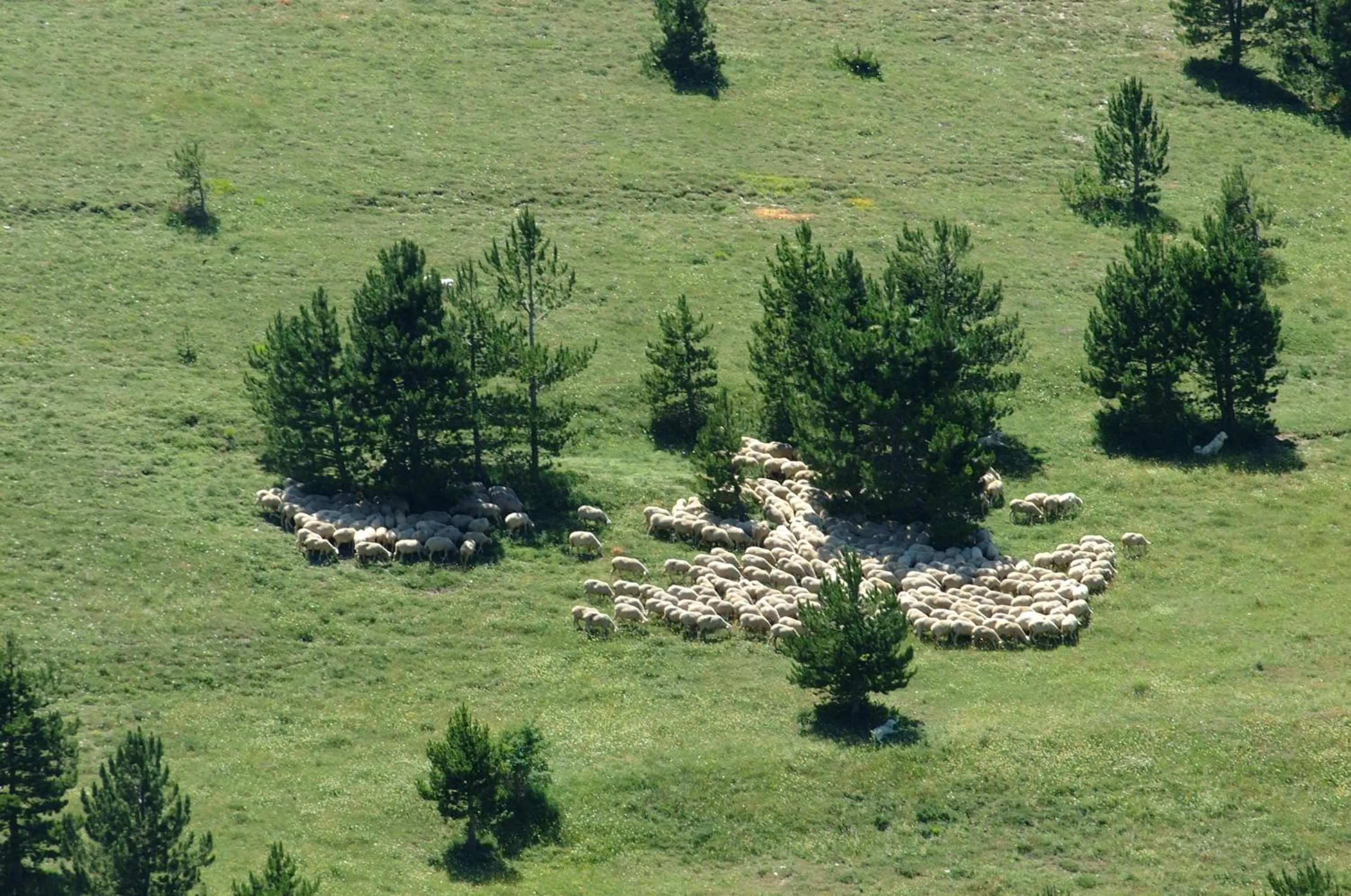 Day in Bed & Breakfast Al Ponte