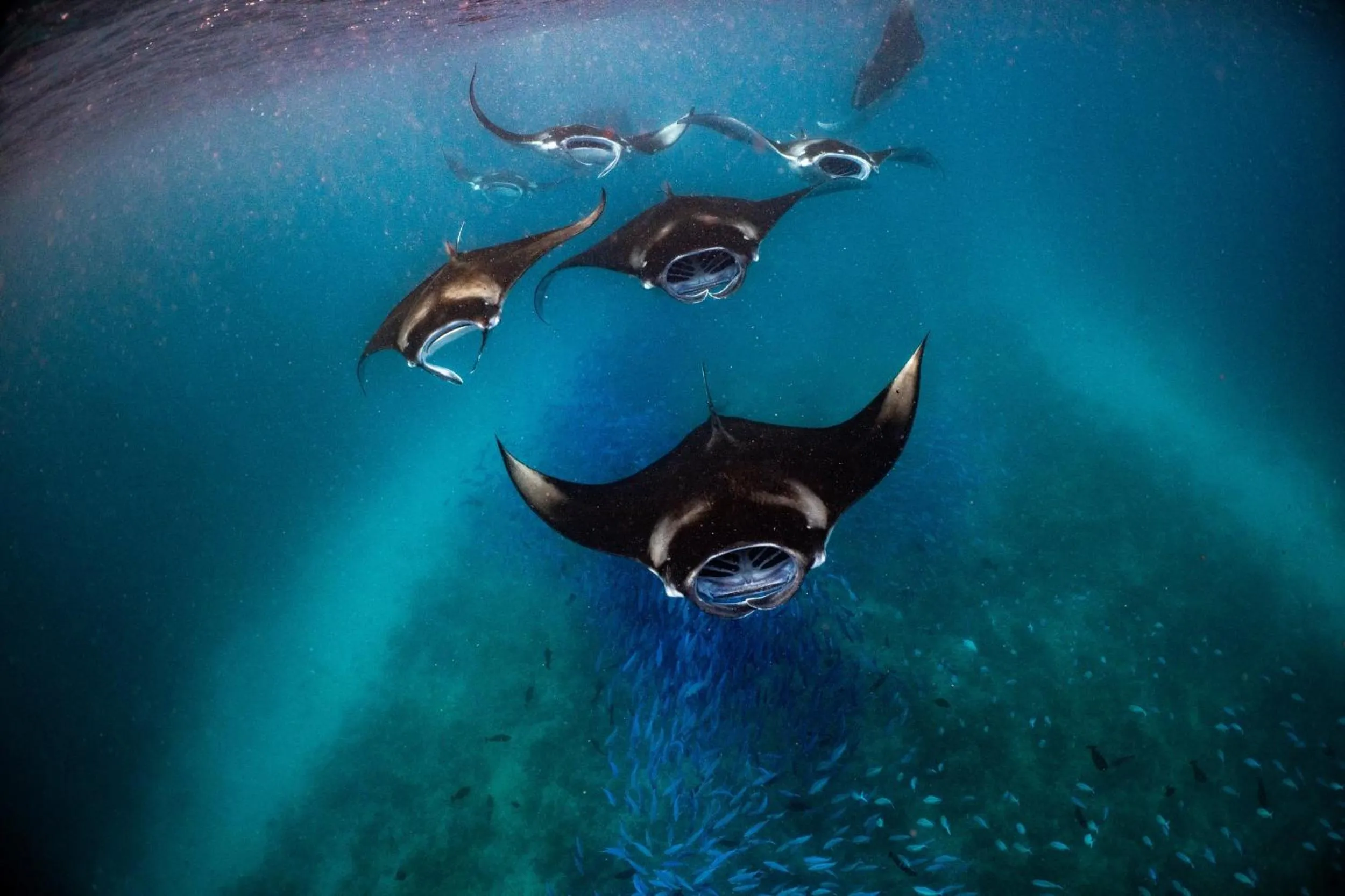 Activities in Nova Maldives