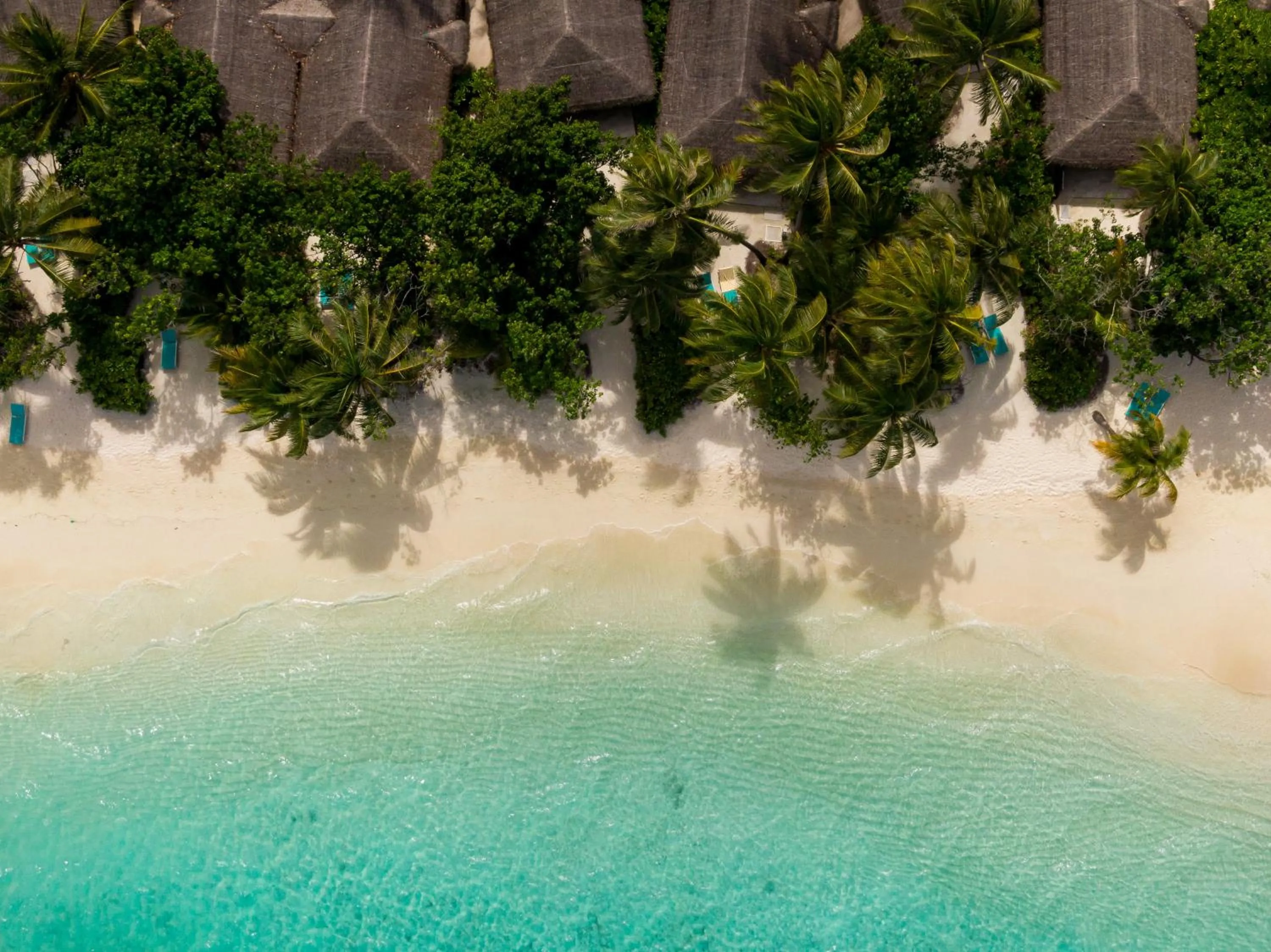 Beach in Nova Maldives