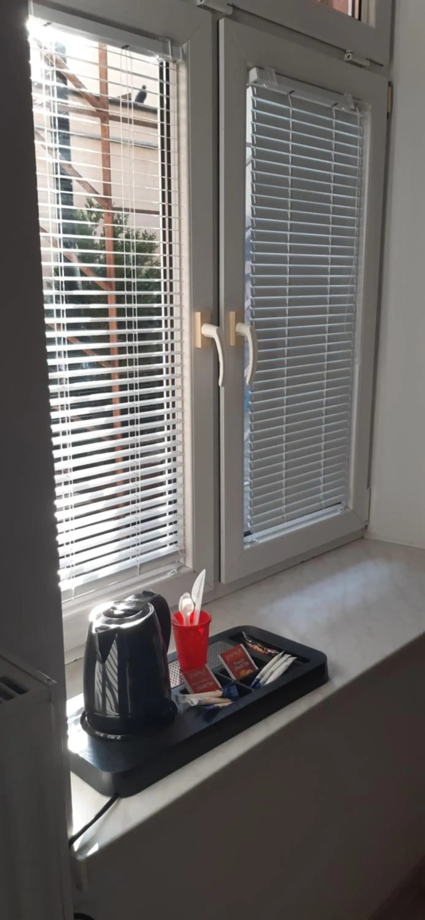 Bunk Bed in Female Dormitory Room in Kraków Chilli Hostel Bunk Bed in Female Dormitory Room in Kraków Chilli Hostel