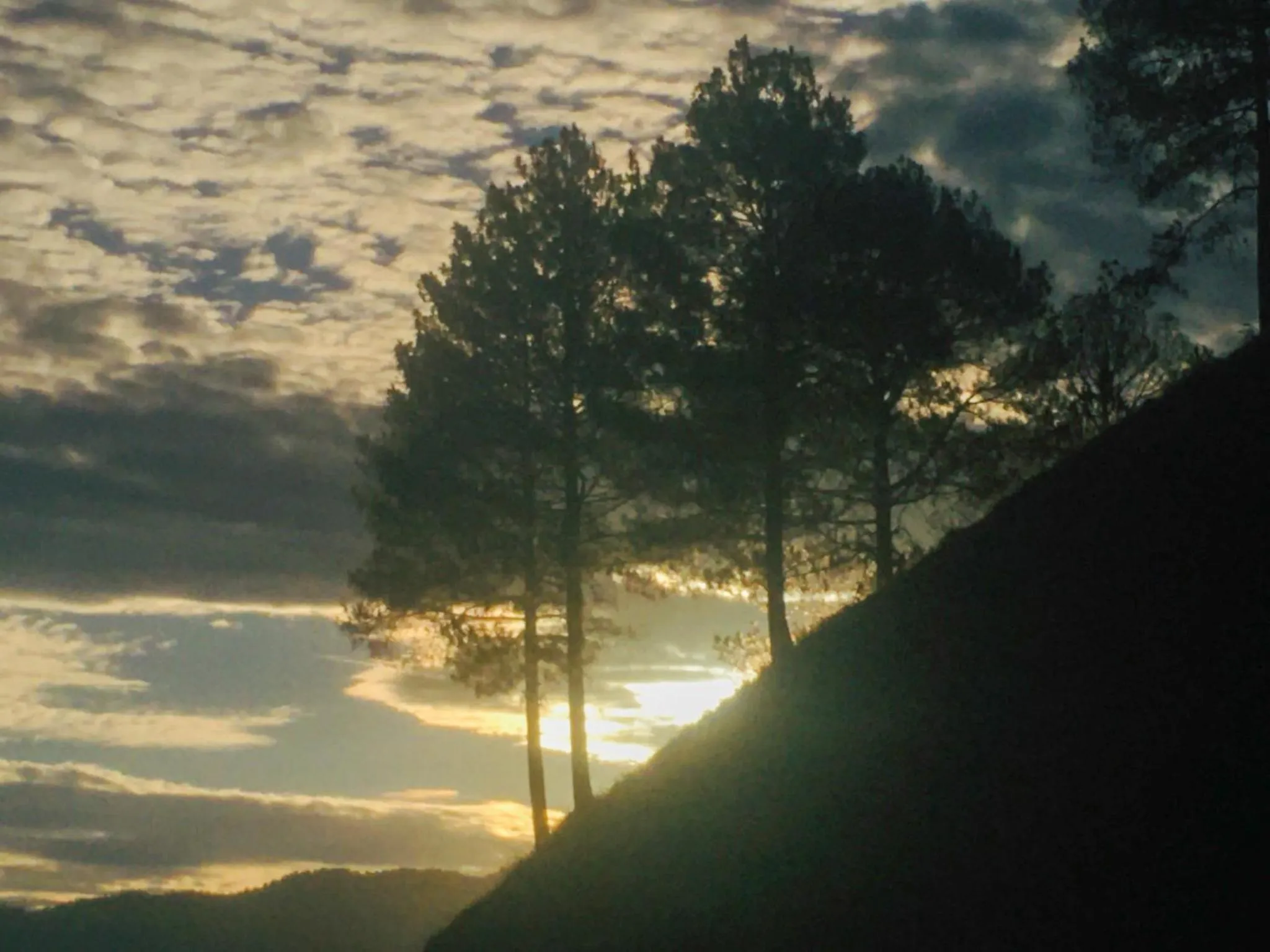 Mrig Valley Resort, Homestay & Banquet