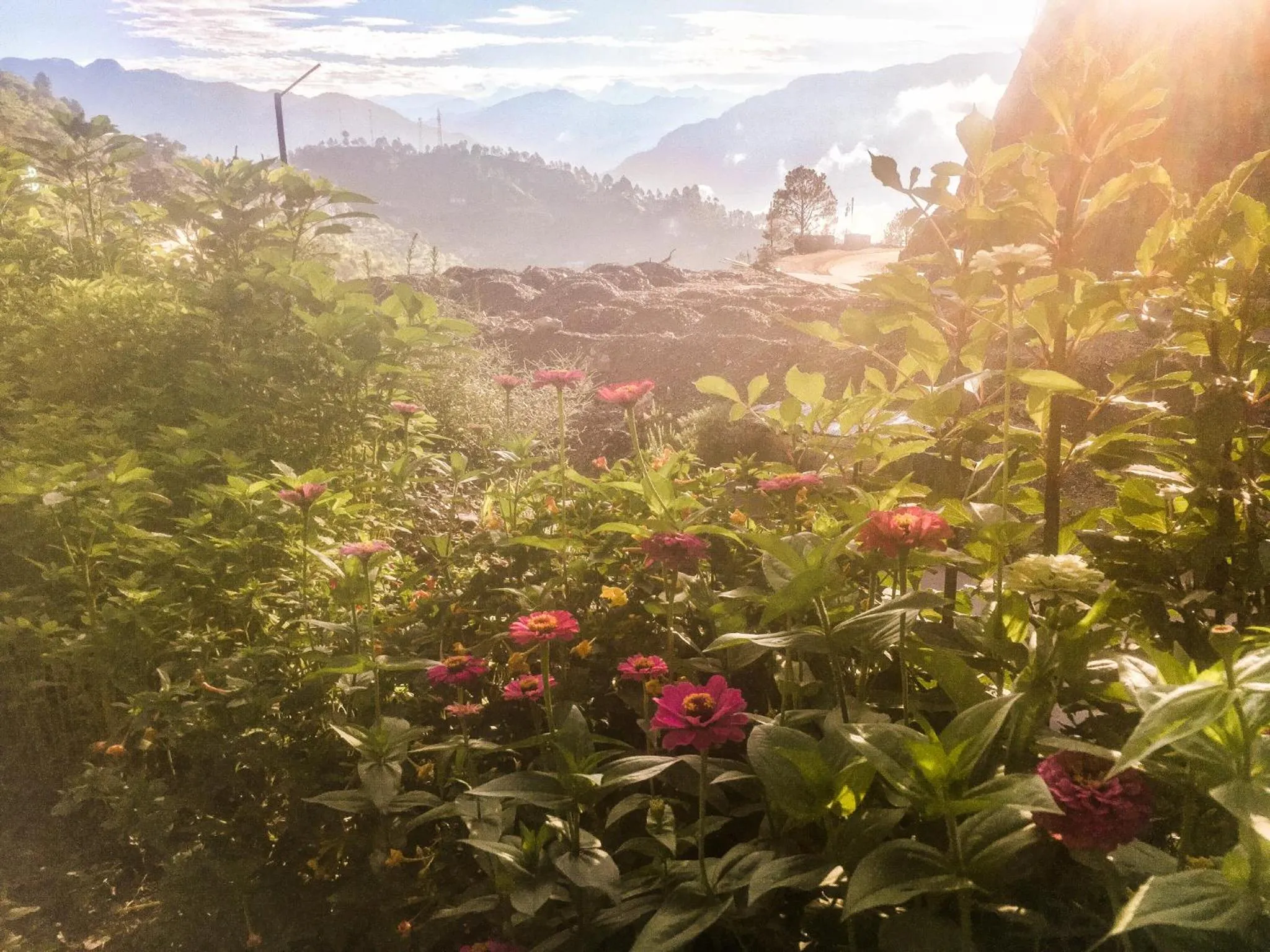 Mrig Valley Resort, Homestay & Banquet