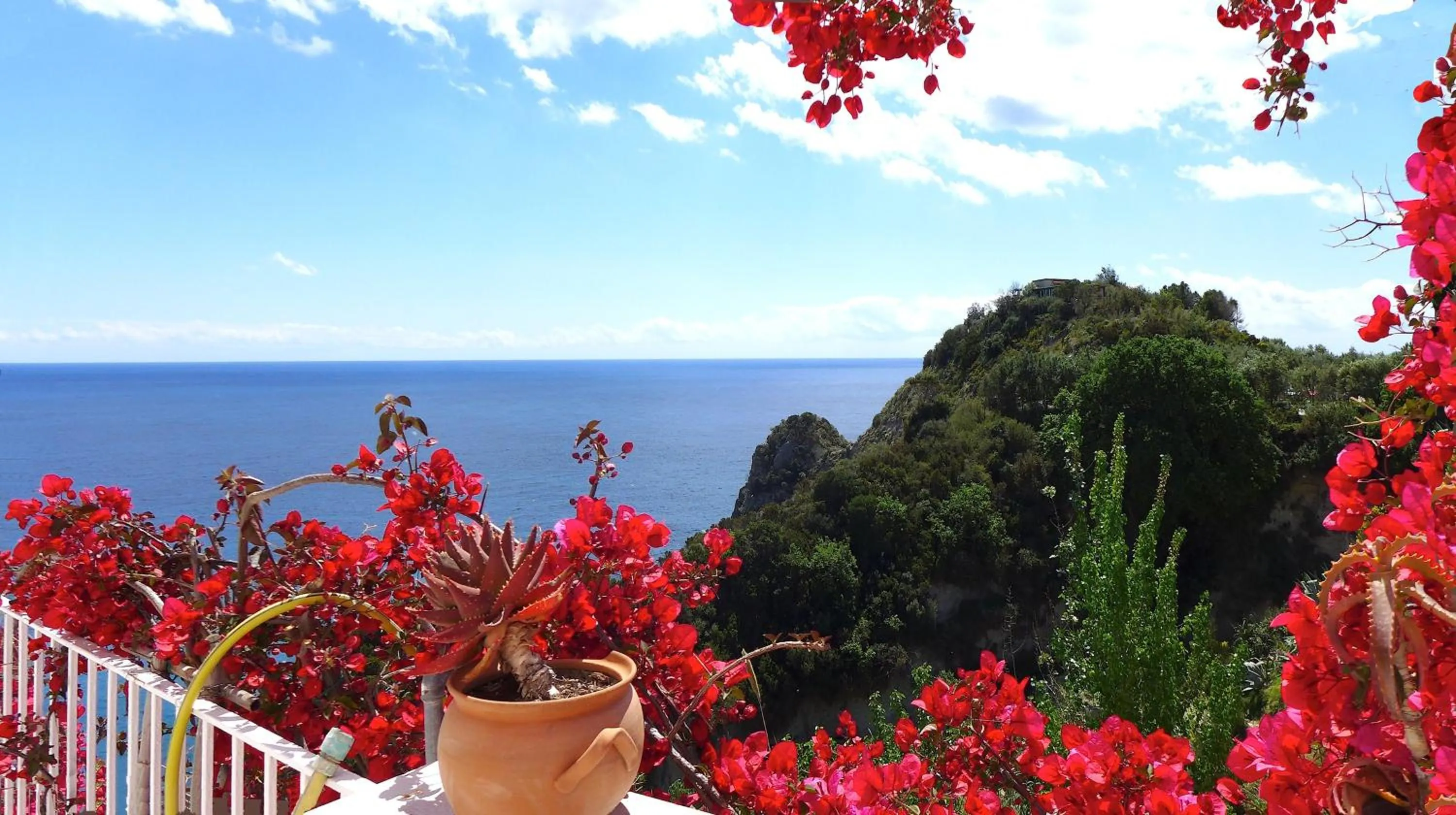 Garden in Hotel Torre Sant'Angelo