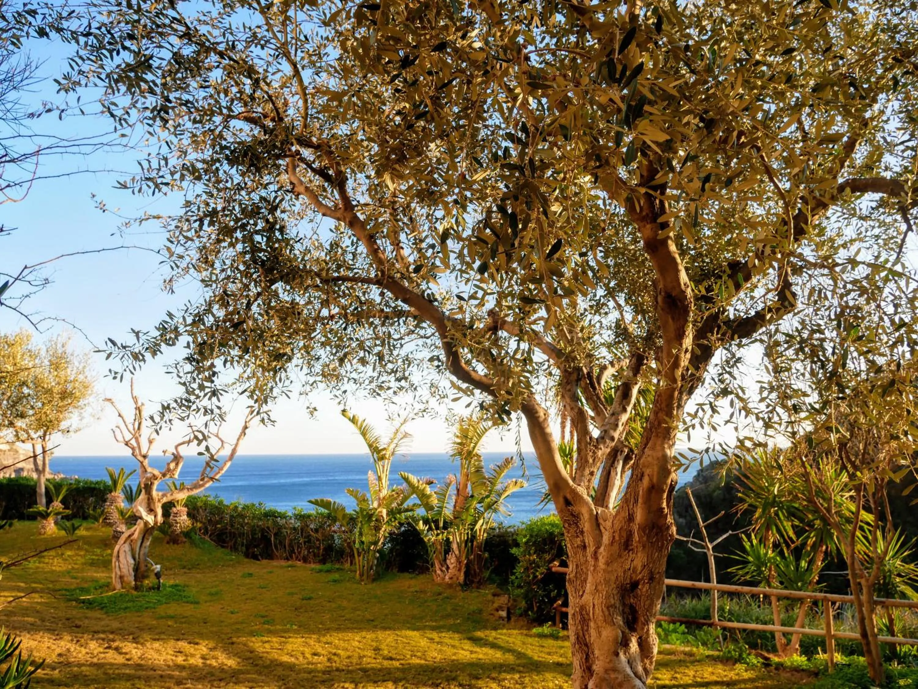 Natural landscape in Hotel Torre Sant'Angelo