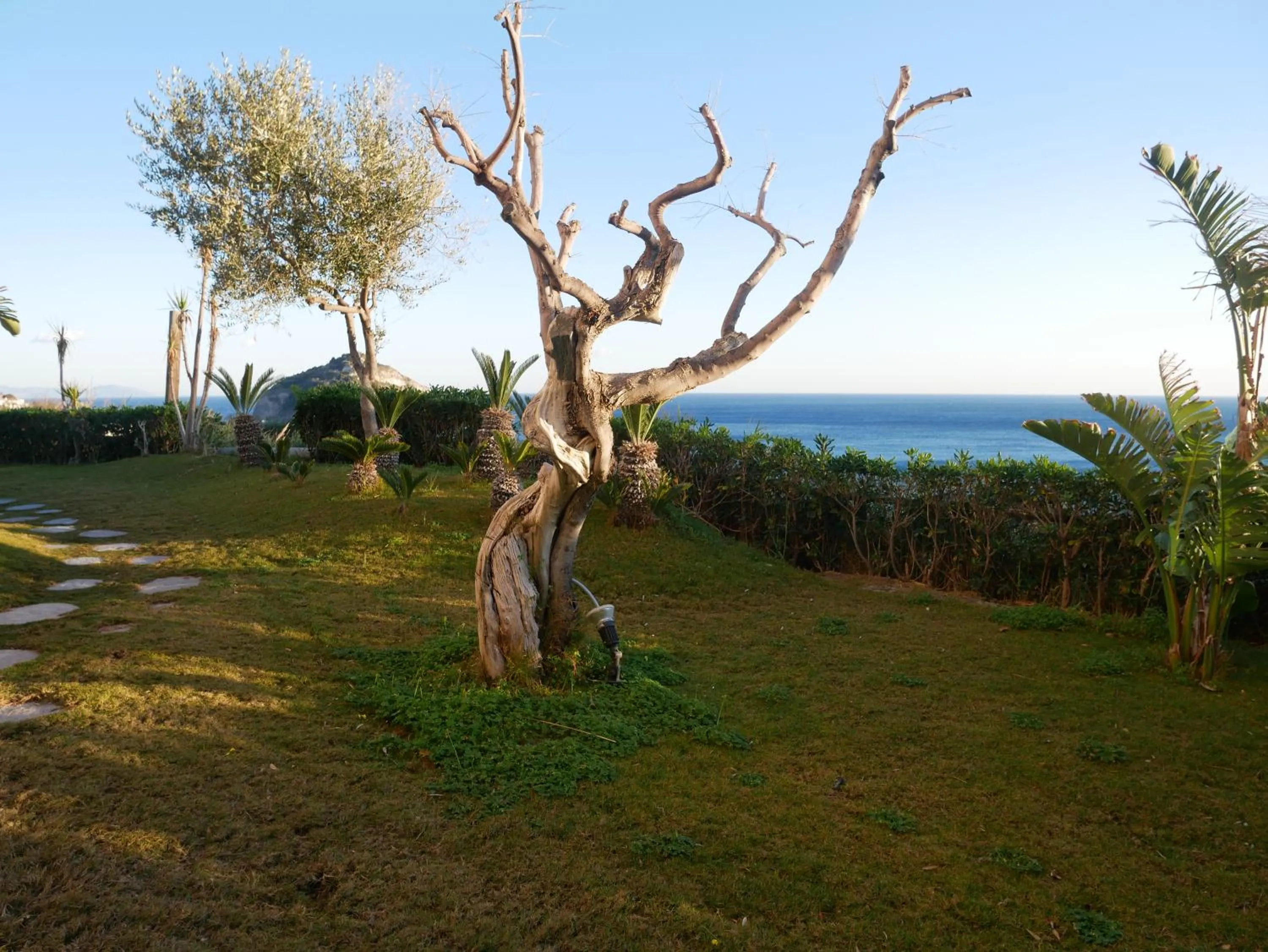 Natural landscape in Hotel Torre Sant'Angelo