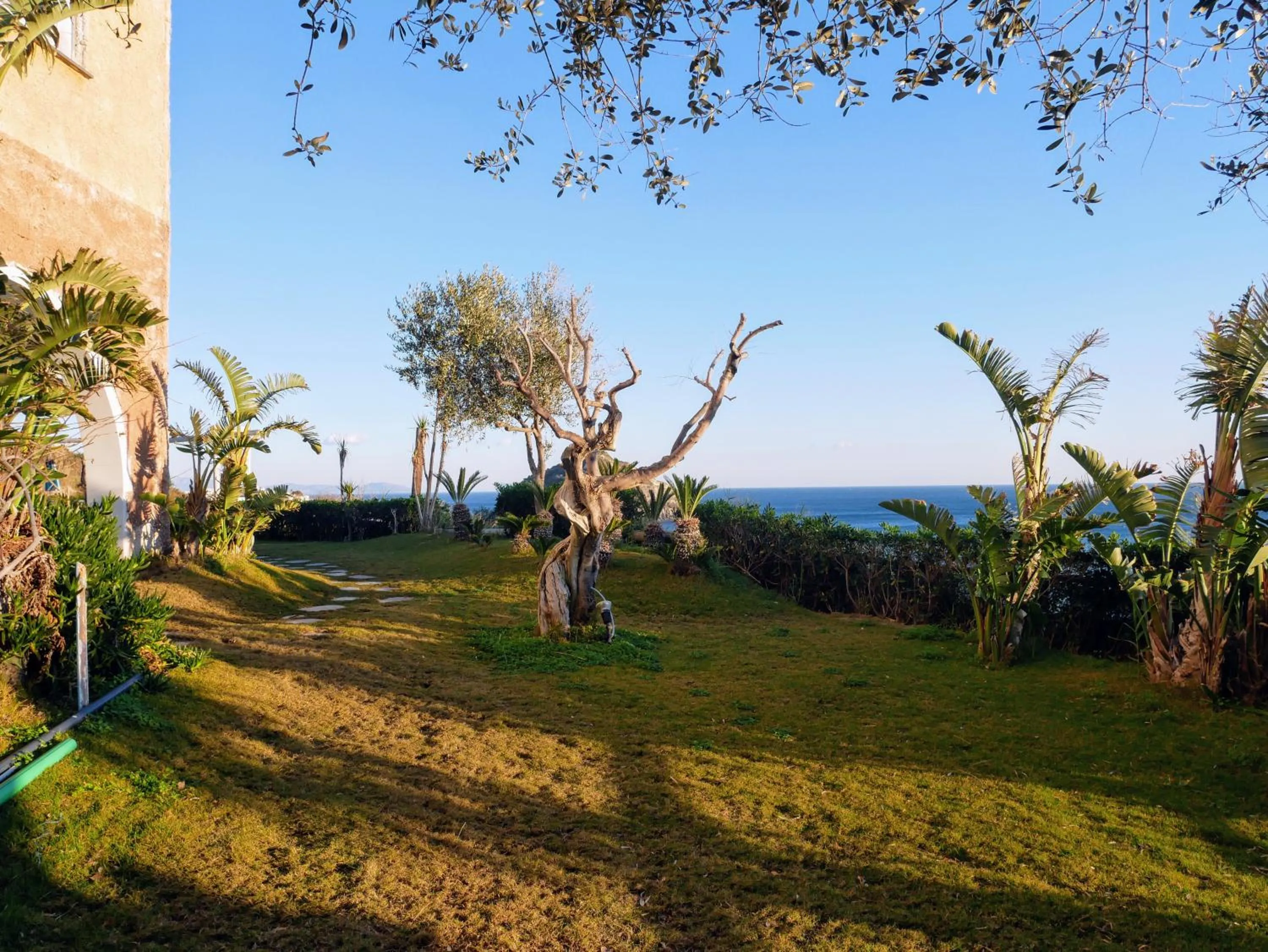 Garden in Hotel Torre Sant'Angelo