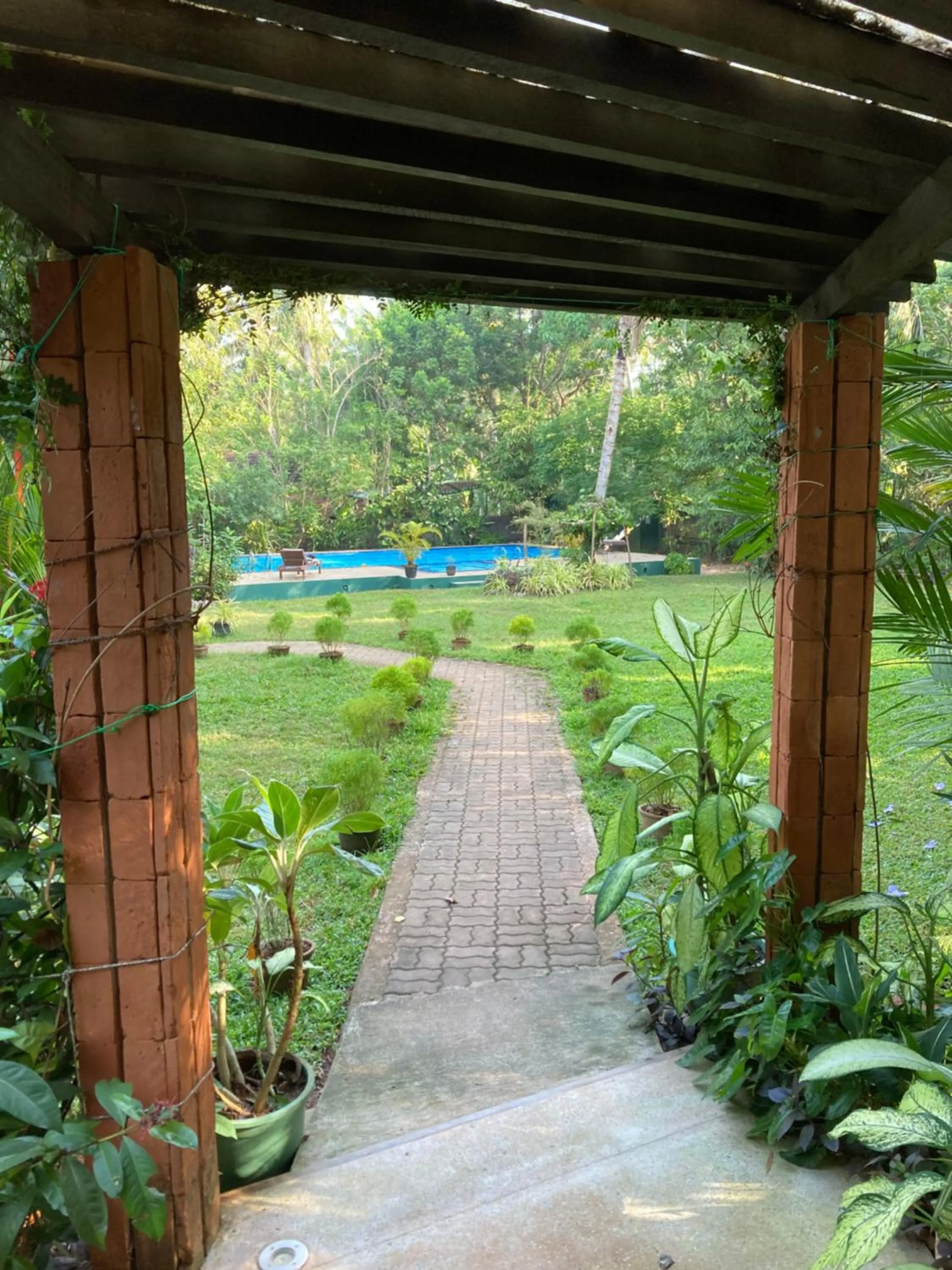 Garden view in The Villa Green Inn